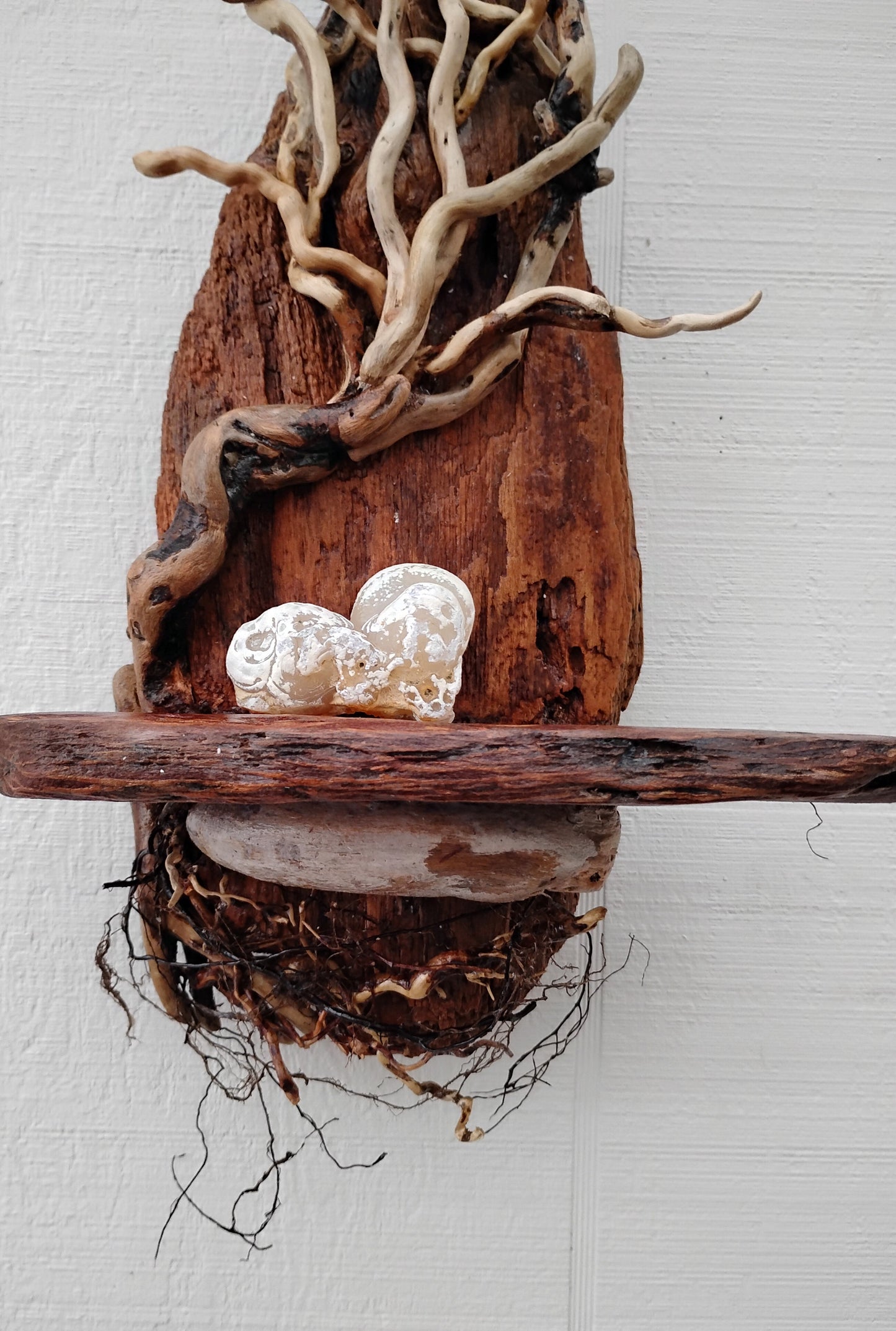 Driftwood Tree Natural Wood Decor Wall Art