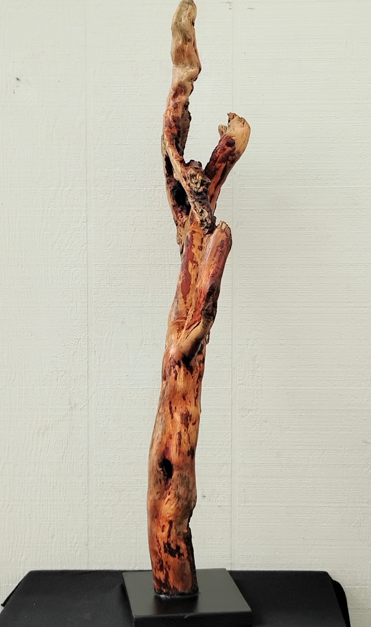 Driftwood Decor Table Sculpture Rustic Abstract Circle Modern Driftwood Decor