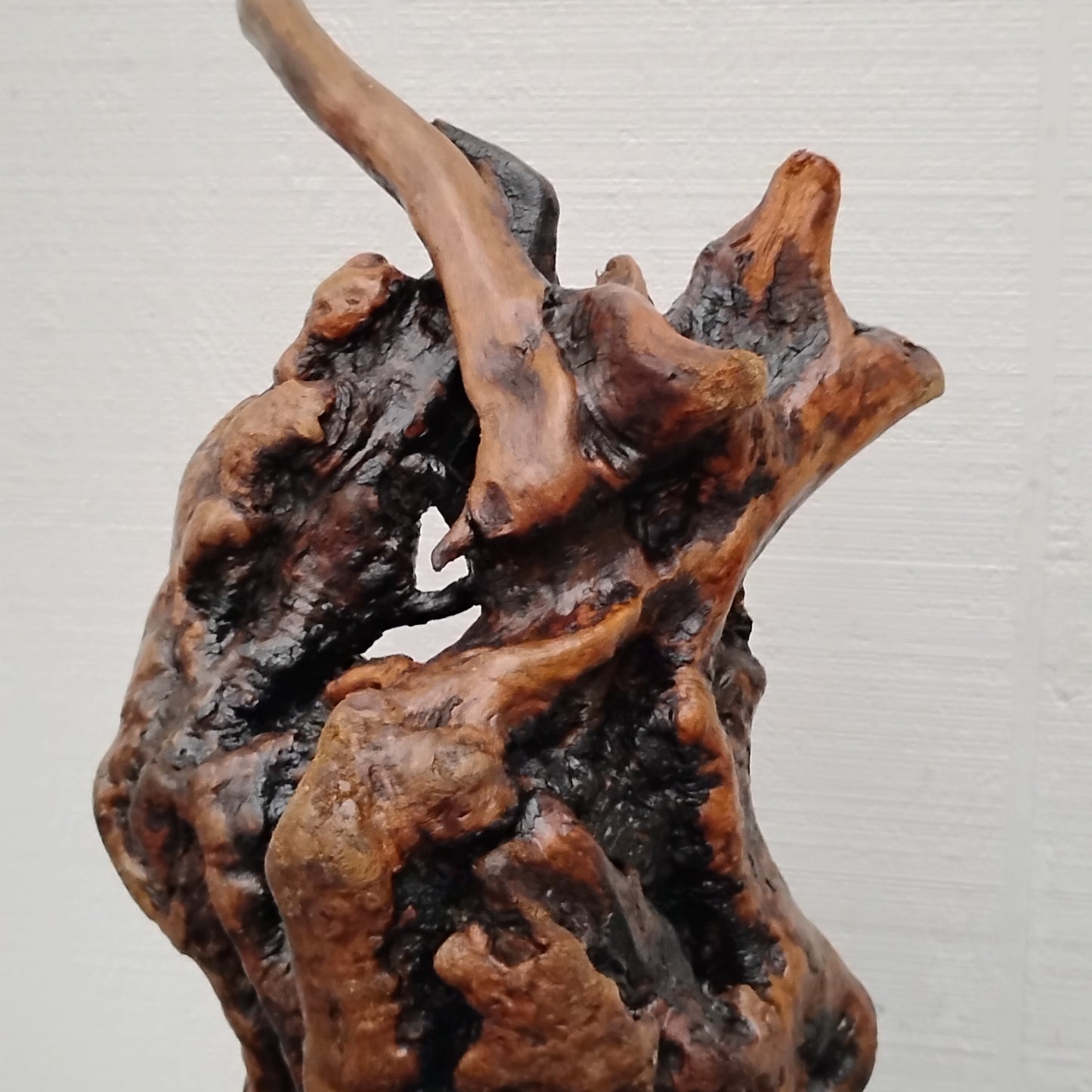 Manzanita Burl Sculpture