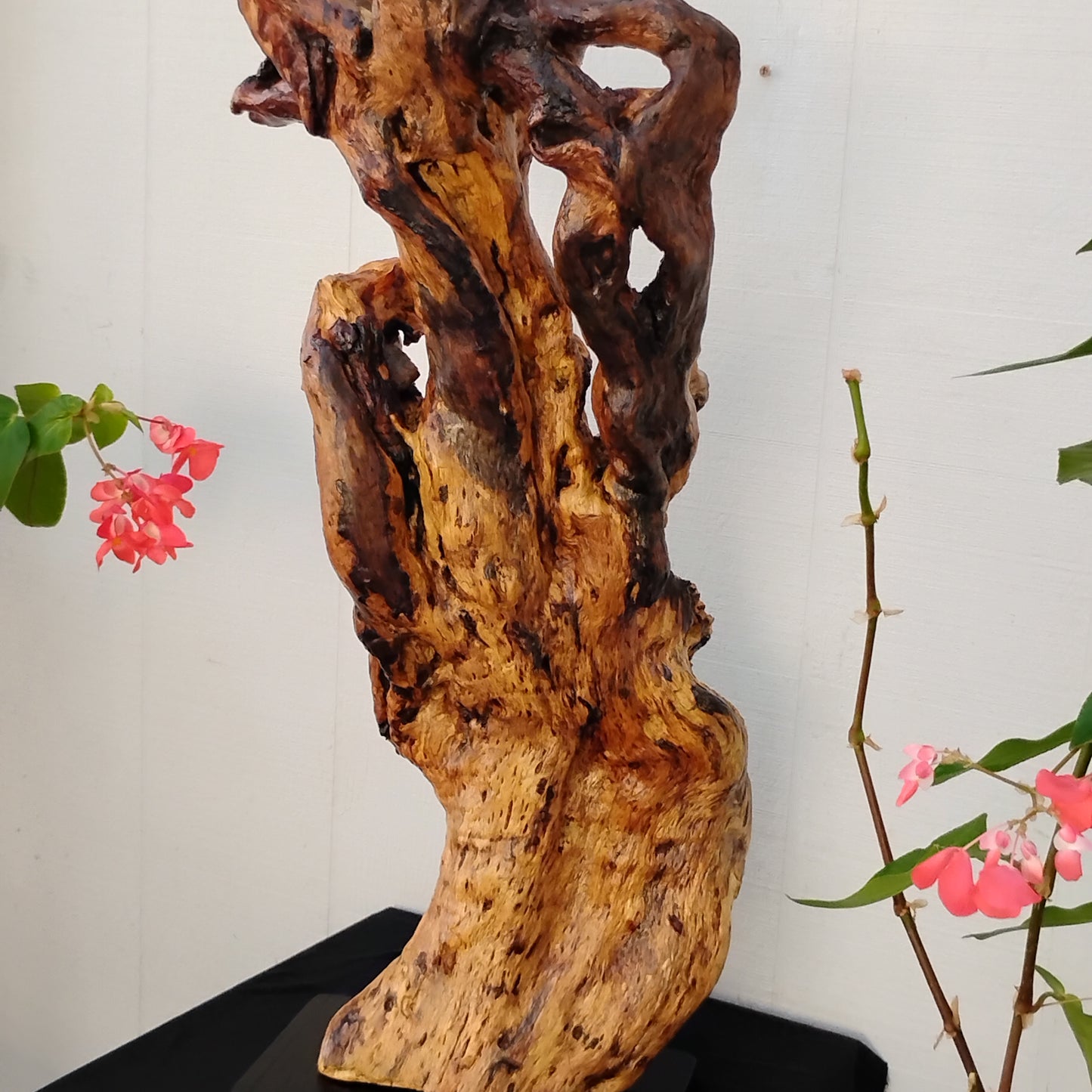 Large Driftwood Art Floor Sculpture Handcrafted in Oregon