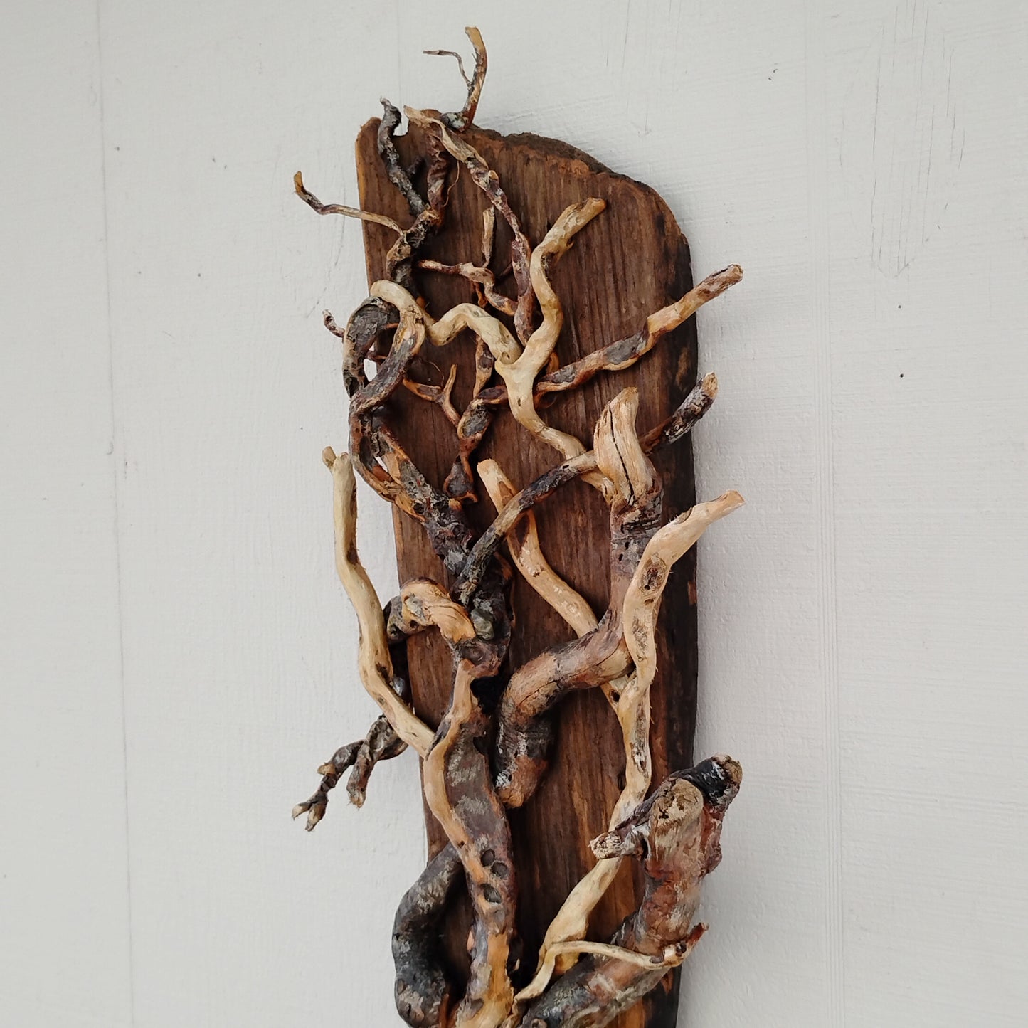 Driftwood Tree Wall Art Beach Inspired Rustic Room Decor