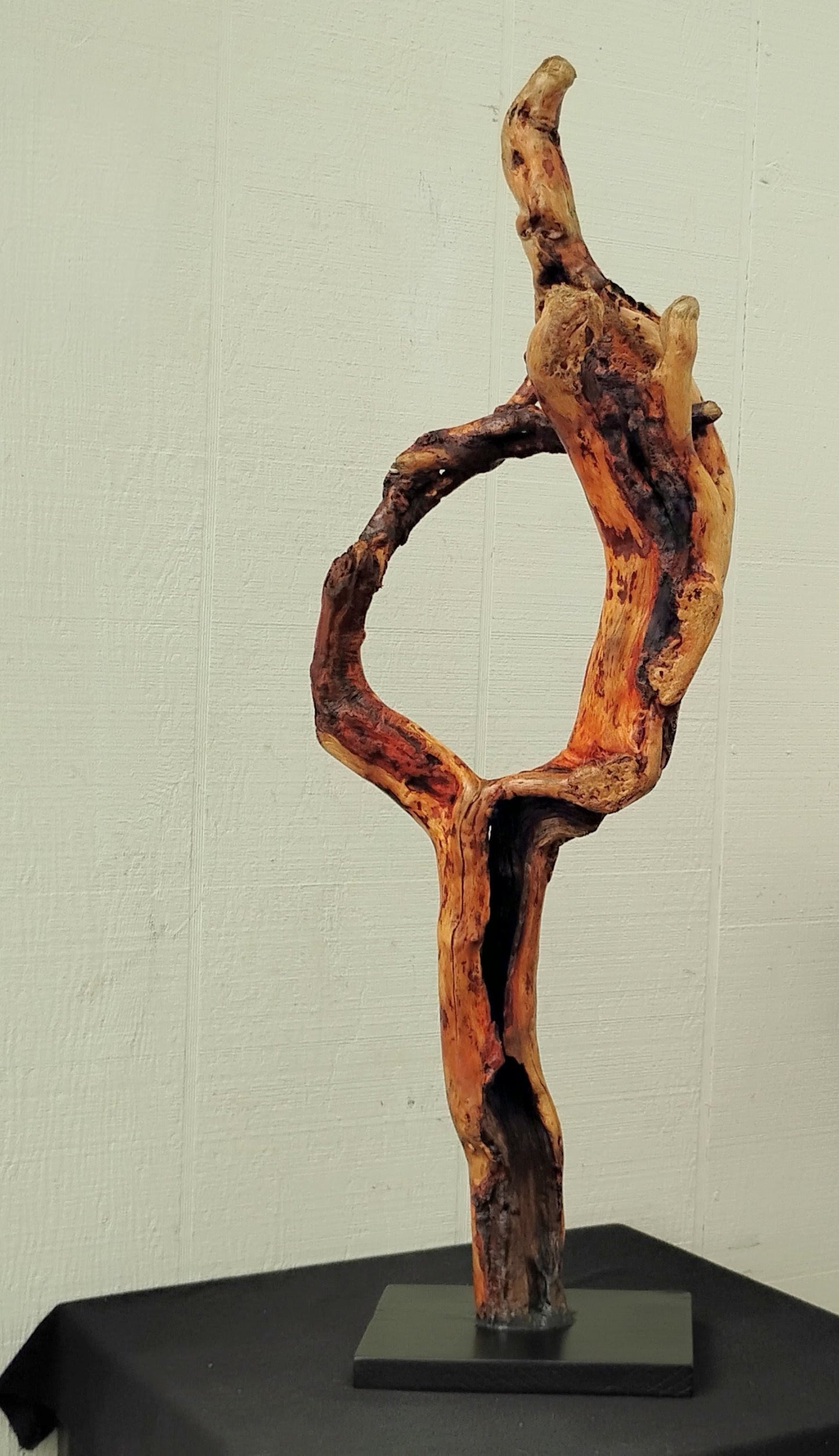 Driftwood Decor Table Sculpture Rustic Abstract Circle Modern Driftwood Decor