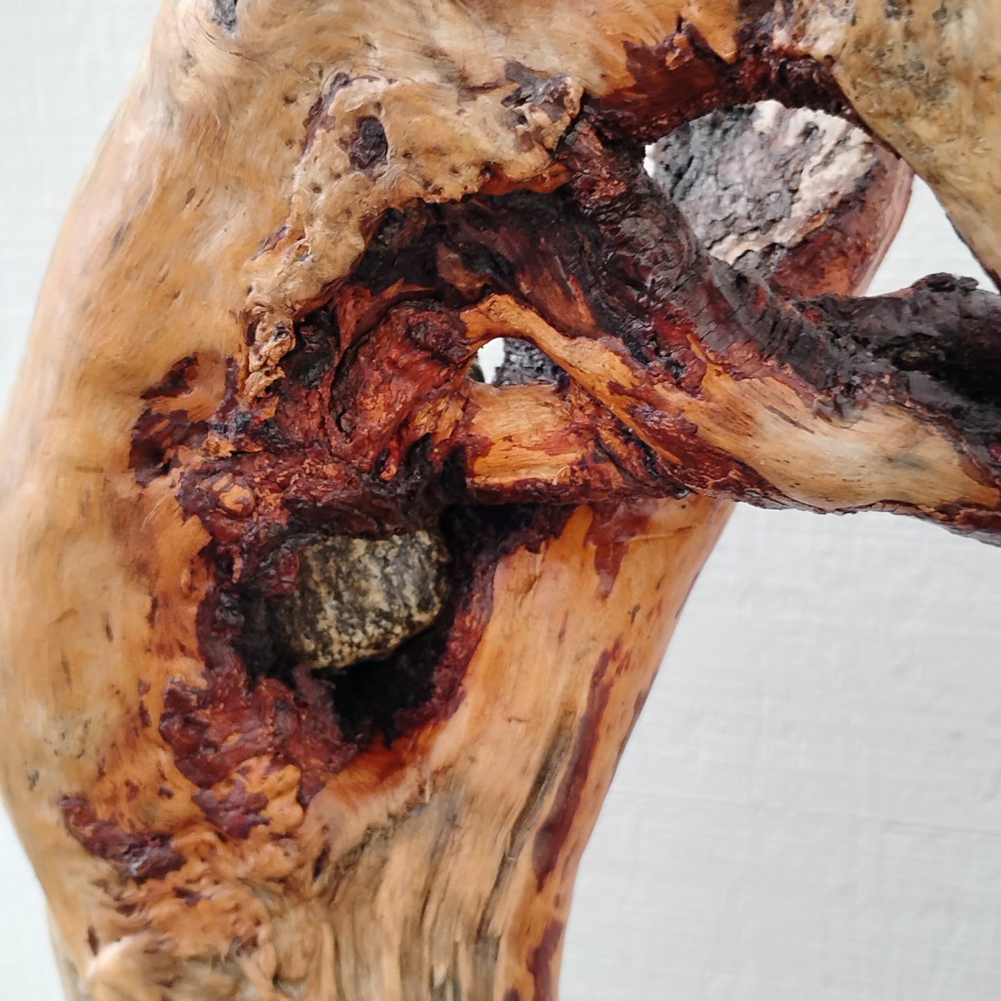 Driftwood Decor Table Sculpture Rustic Abstract Circle Modern Driftwood Decor