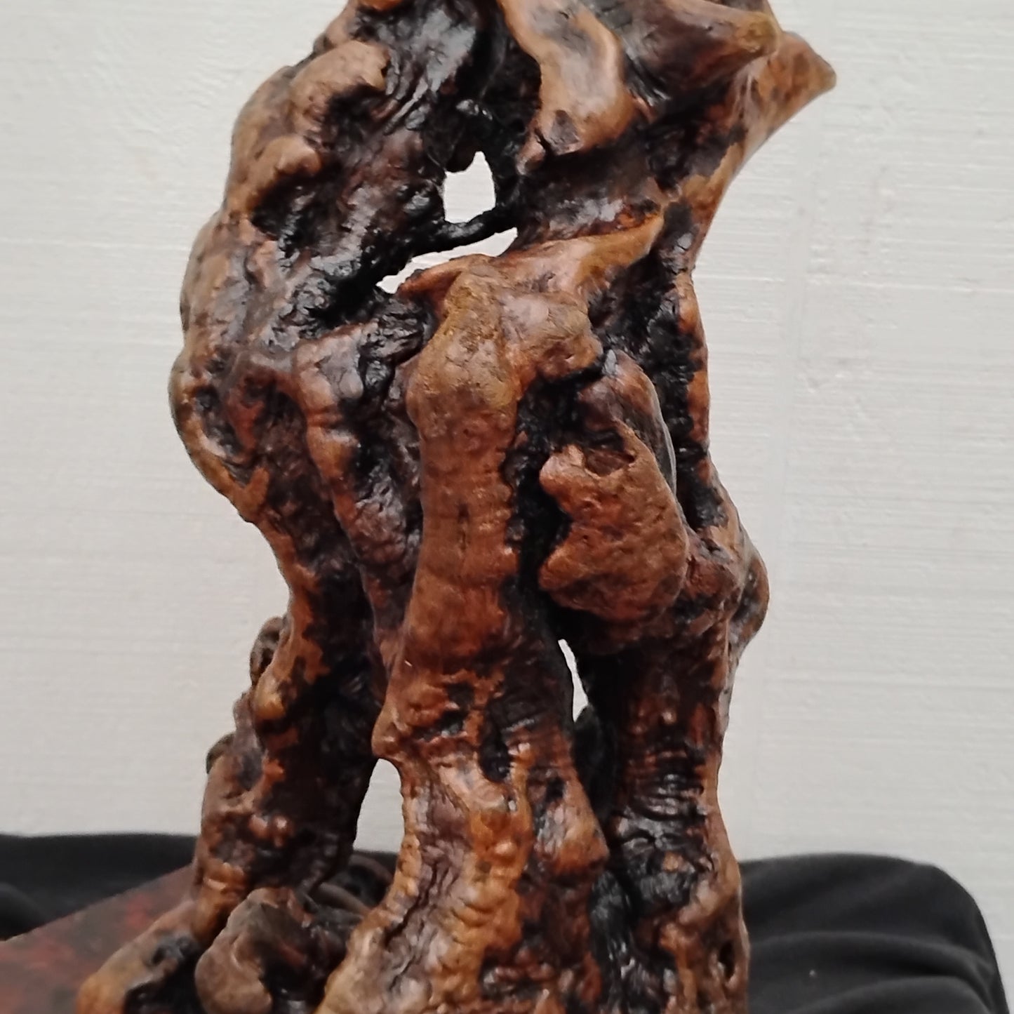 Manzanita Burl Sculpture