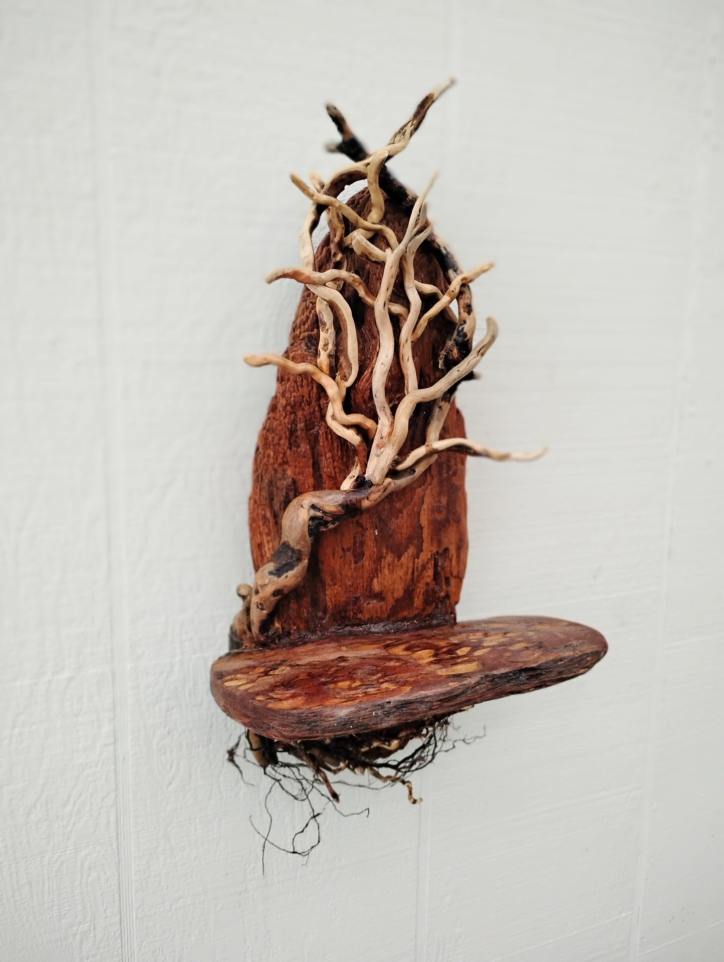 Driftwood Tree Natural Wood Decor Wall Art