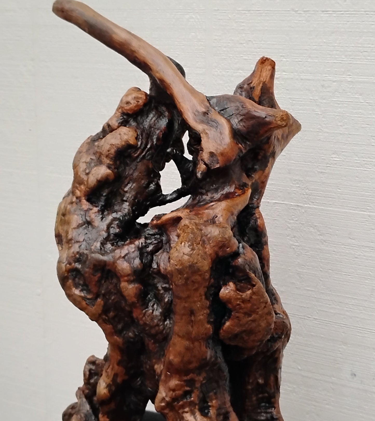 Manzanita Burl Sculpture