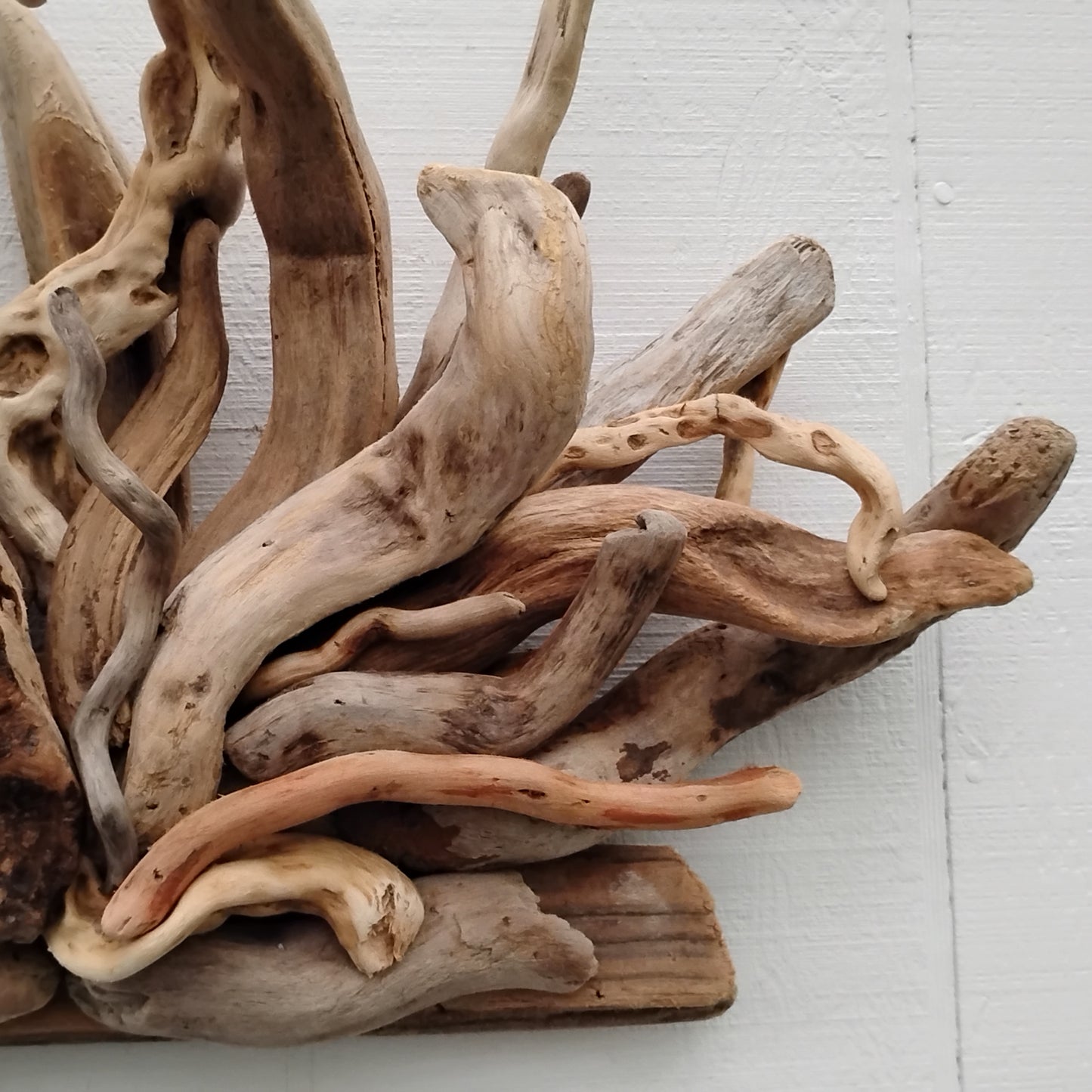 Natural Driftwood Art Wall Sculpture