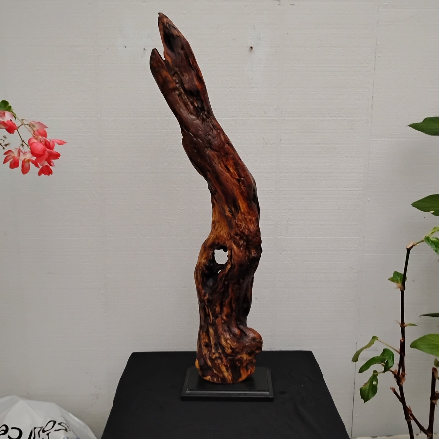 Driftwood Floor Sculpture Dark Wood Room Decor Statement Piece