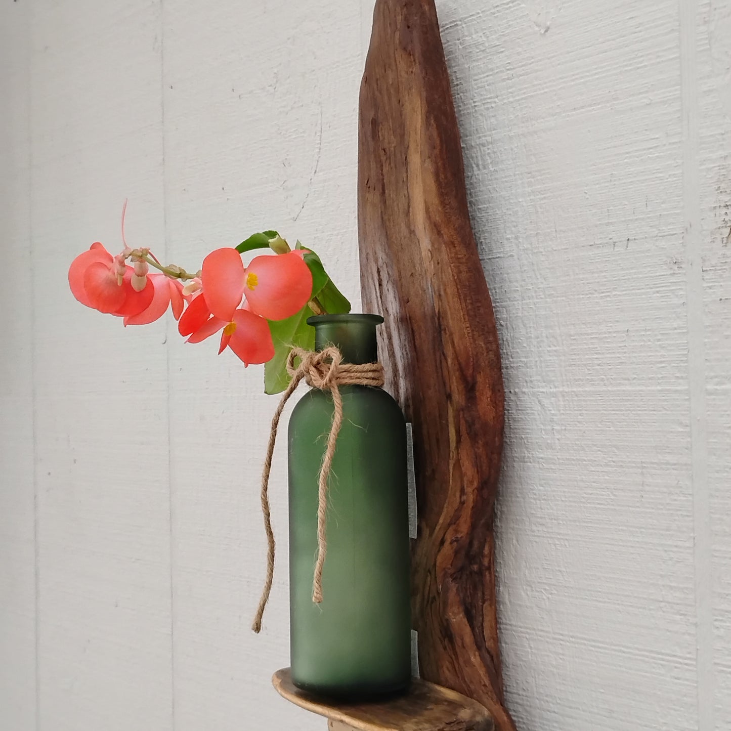 Rustic Driftwood Art Flower Vase /Air Plant Bottle Vase