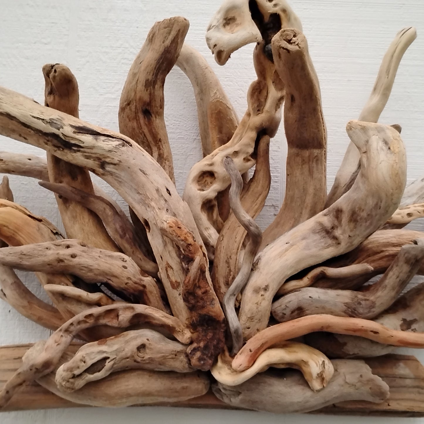 Natural Driftwood Art Wall Sculpture
