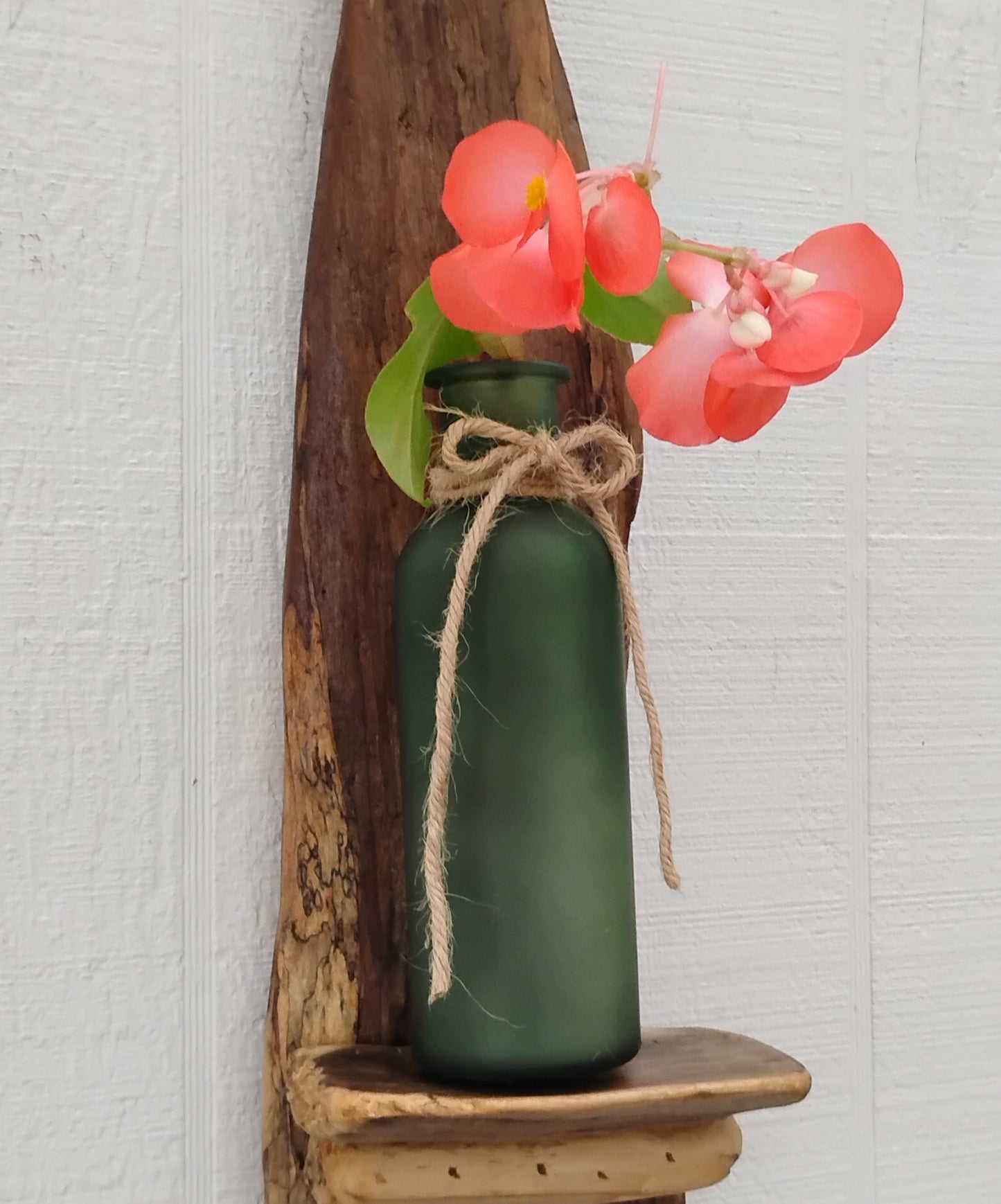 Rustic Driftwood Art Flower Vase /Air Plant Bottle Vase