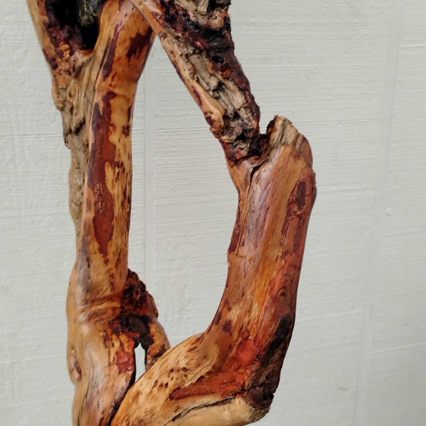 Driftwood Decor Table Sculpture Rustic Abstract Circle Modern Driftwood Decor