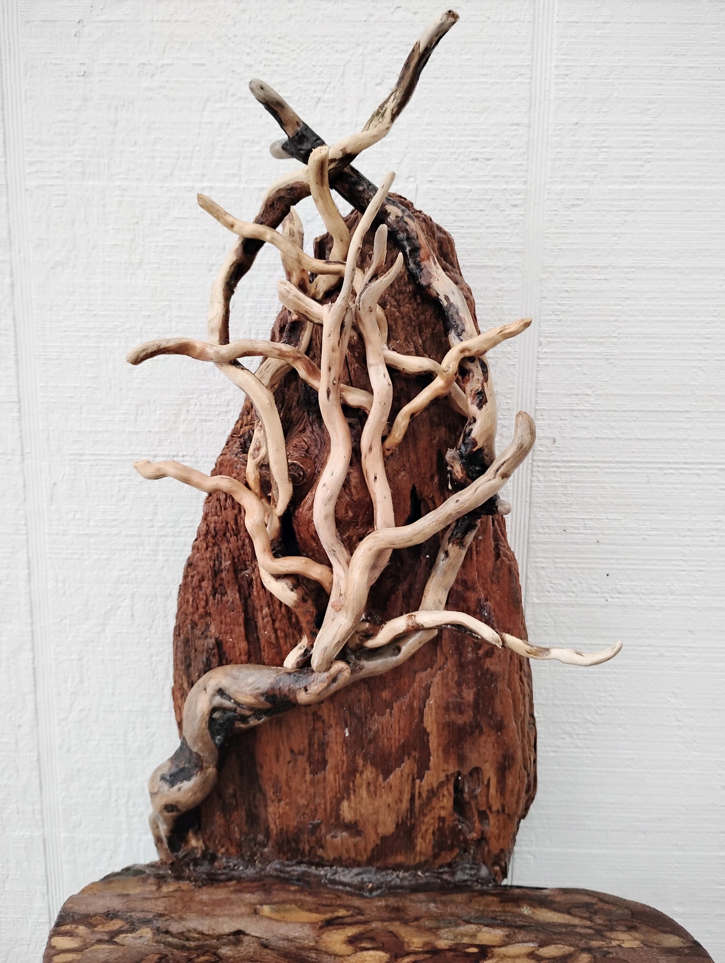 Driftwood Tree Natural Wood Decor Wall Art