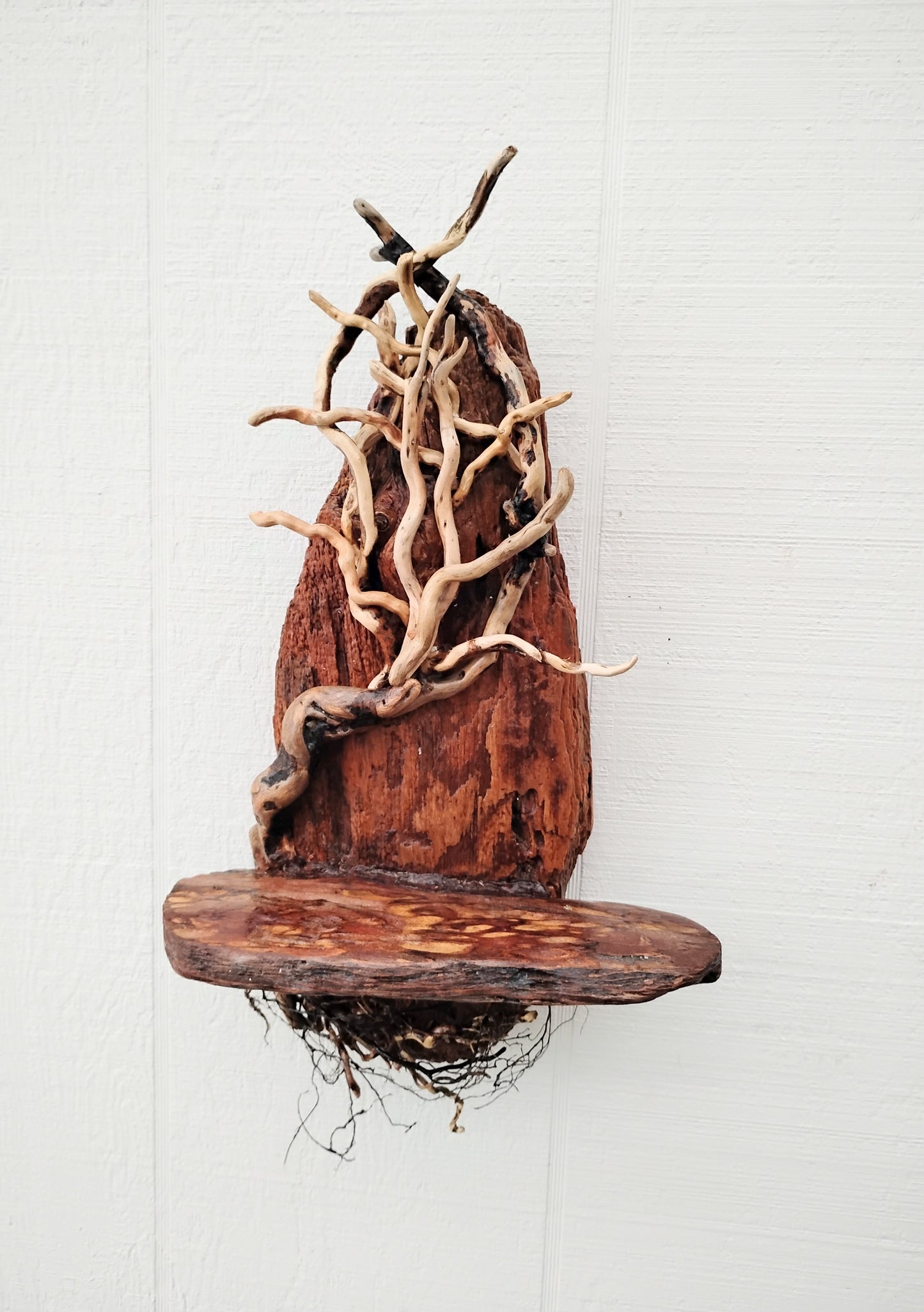 Driftwood Tree Natural Wood Decor Wall Art