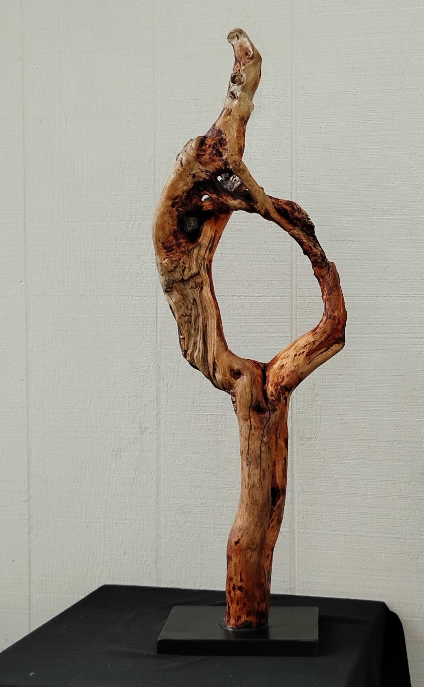 Driftwood Decor Table Sculpture Rustic Abstract Circle Modern Driftwood Decor