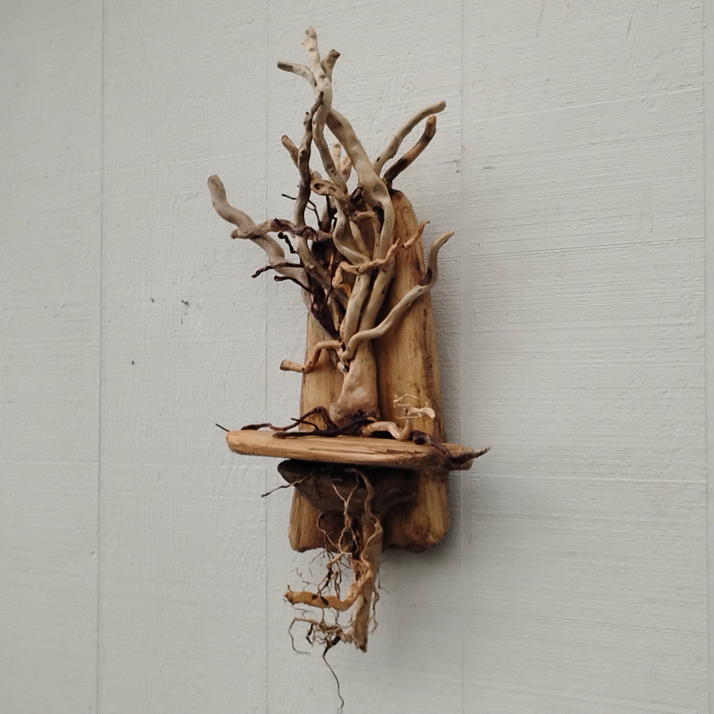 Driftwood Art Tree Beach Home Decor Wall Art