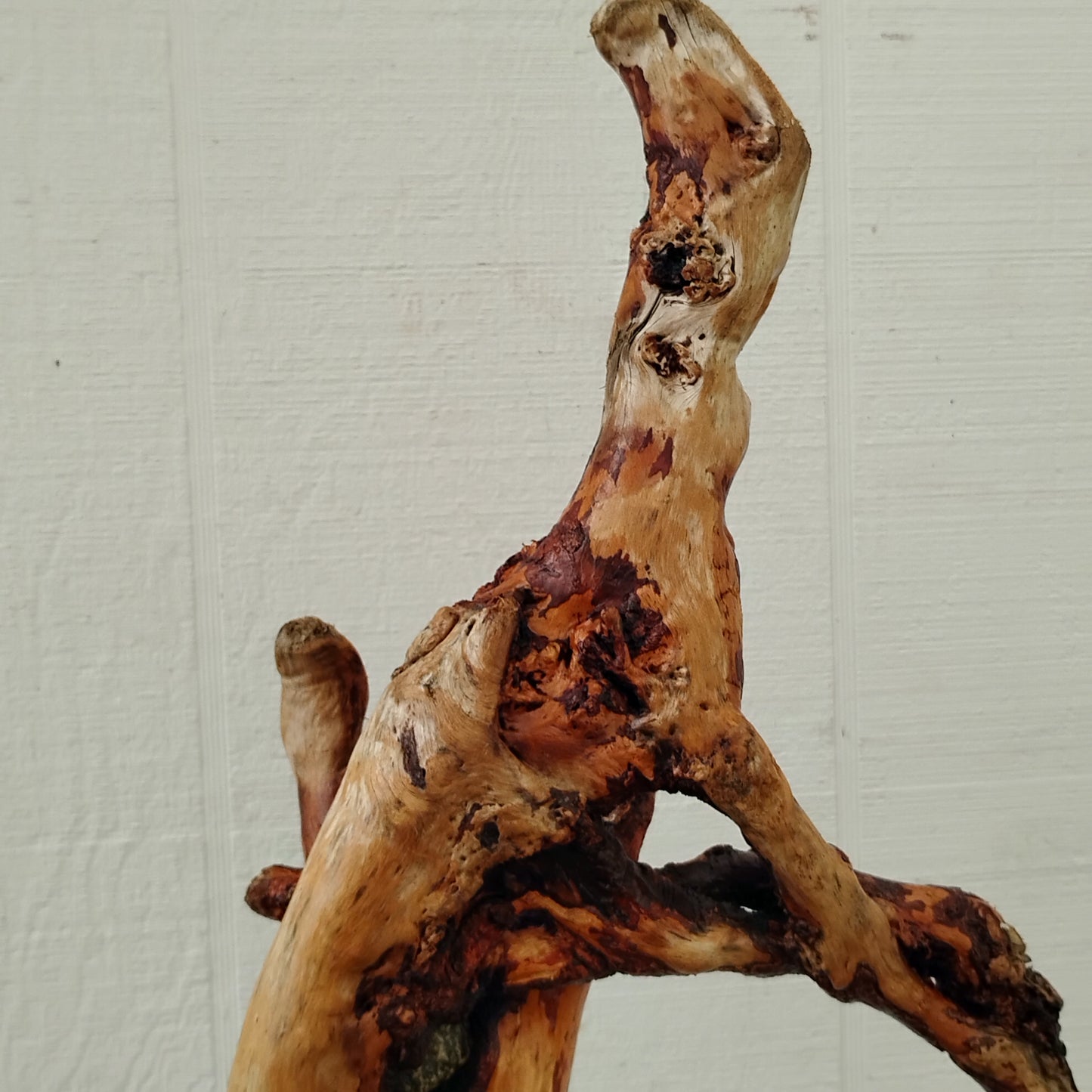 Driftwood Decor Table Sculpture Rustic Abstract Circle Modern Driftwood Decor