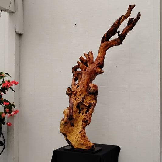 Tall driftwood floor sculpture