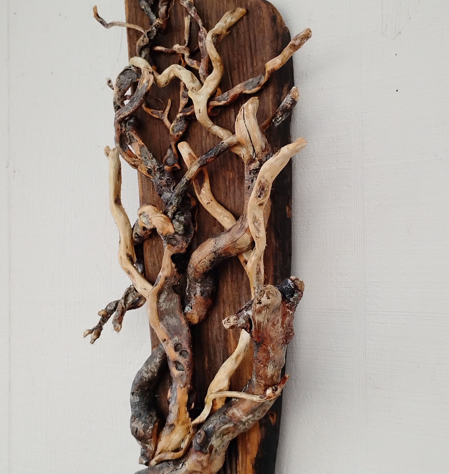 Driftwood Tree Wall Art Beach Inspired Rustic Room Decor