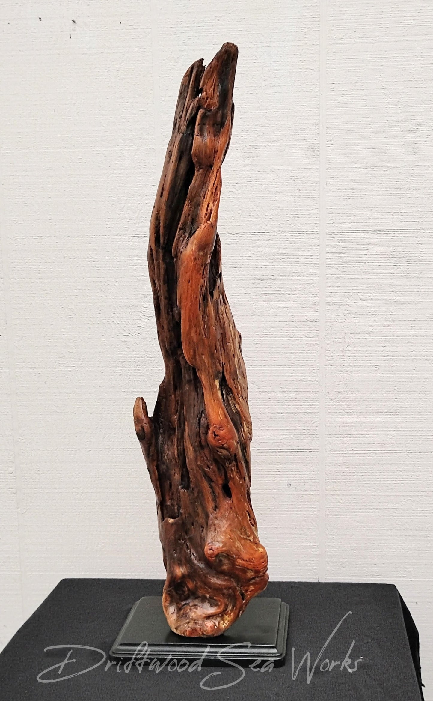 This hand crafted, rustic driftwood art abstract table sculpture  was made from natural piece of driftwood from the Coastline of Oregon.

The natural colors are various shades of brown giving it a unique and organic look. Handcrafted with expertise, it adds a touch of nature and elegance to any space. Enjoy the benefits of a one-of-a-kind decorative piece for your home or office.

