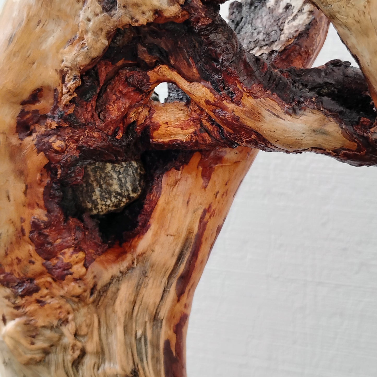 Driftwood Decor Table Sculpture Rustic Abstract Circle Modern Driftwood Decor