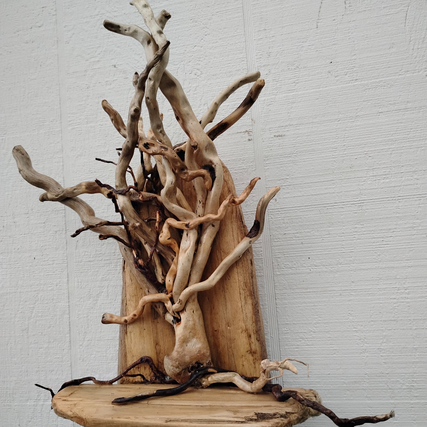 Driftwood Art Tree Beach Home Decor Wall Art
