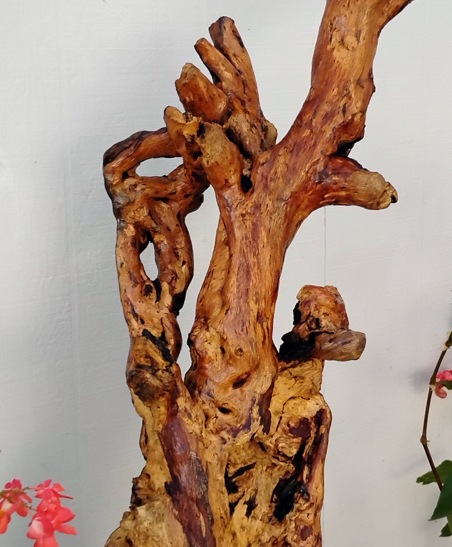 Large Driftwood Art Floor Sculpture Handcrafted in Oregon