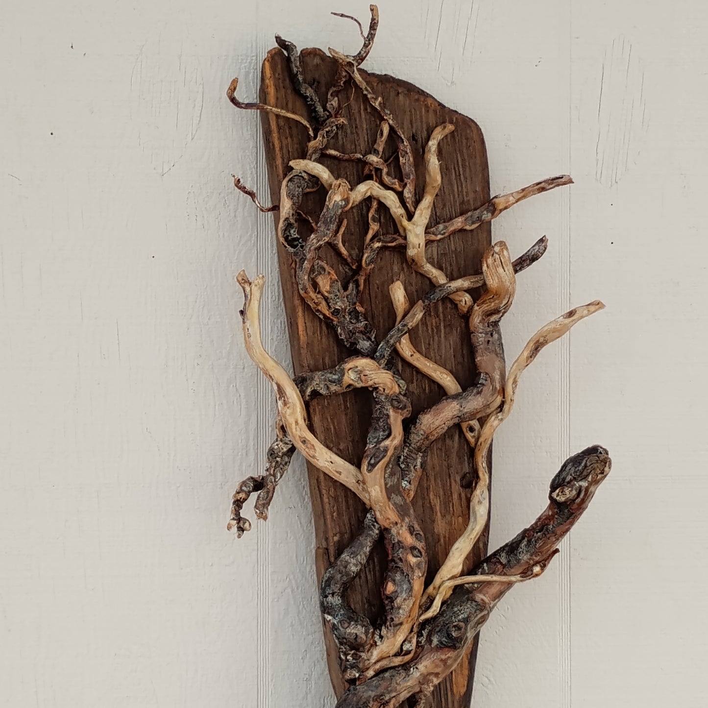 Driftwood Tree Wall Art Beach Inspired Rustic Room Decor