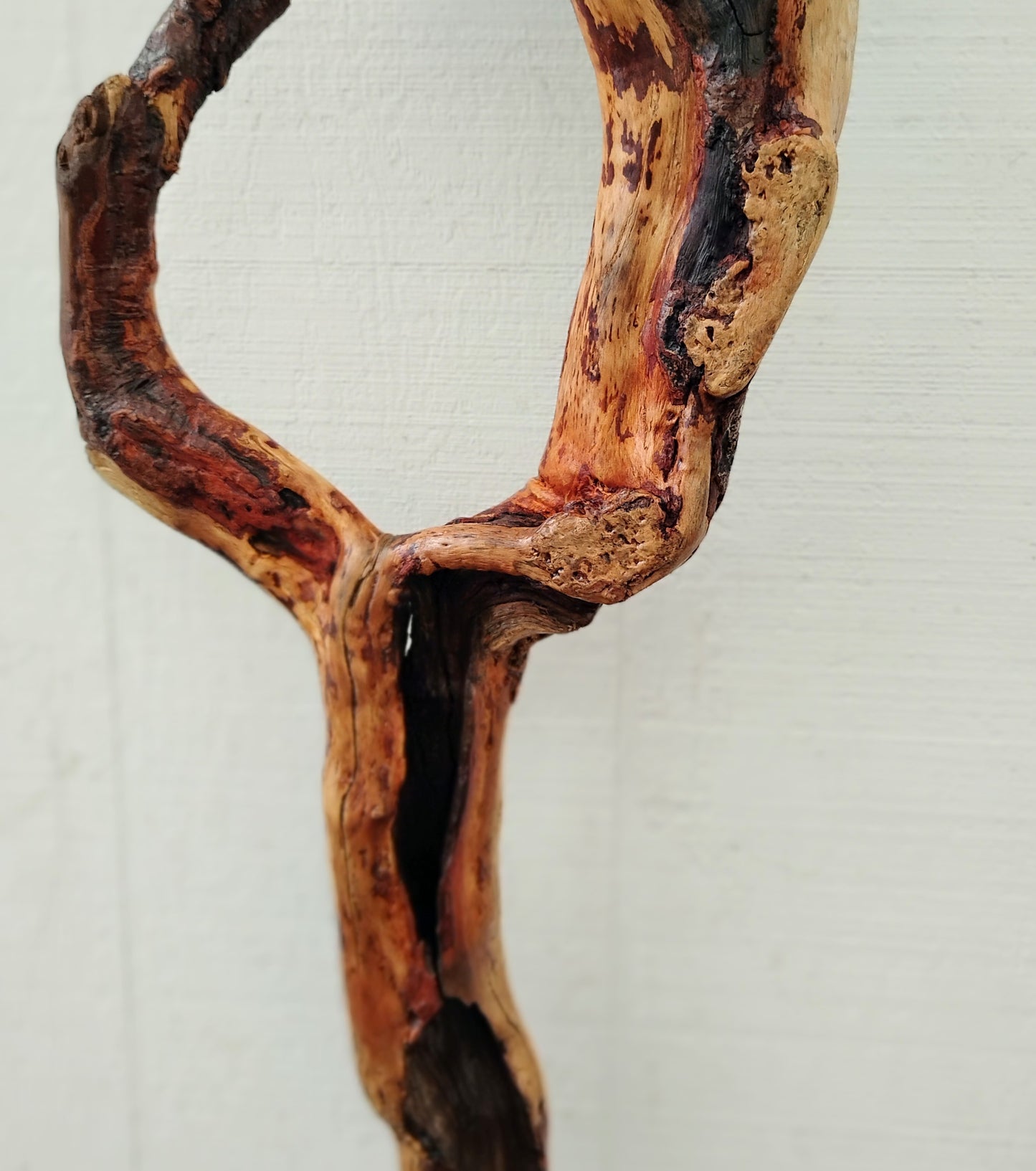 Driftwood Decor Table Sculpture Rustic Abstract Circle Modern Driftwood Decor