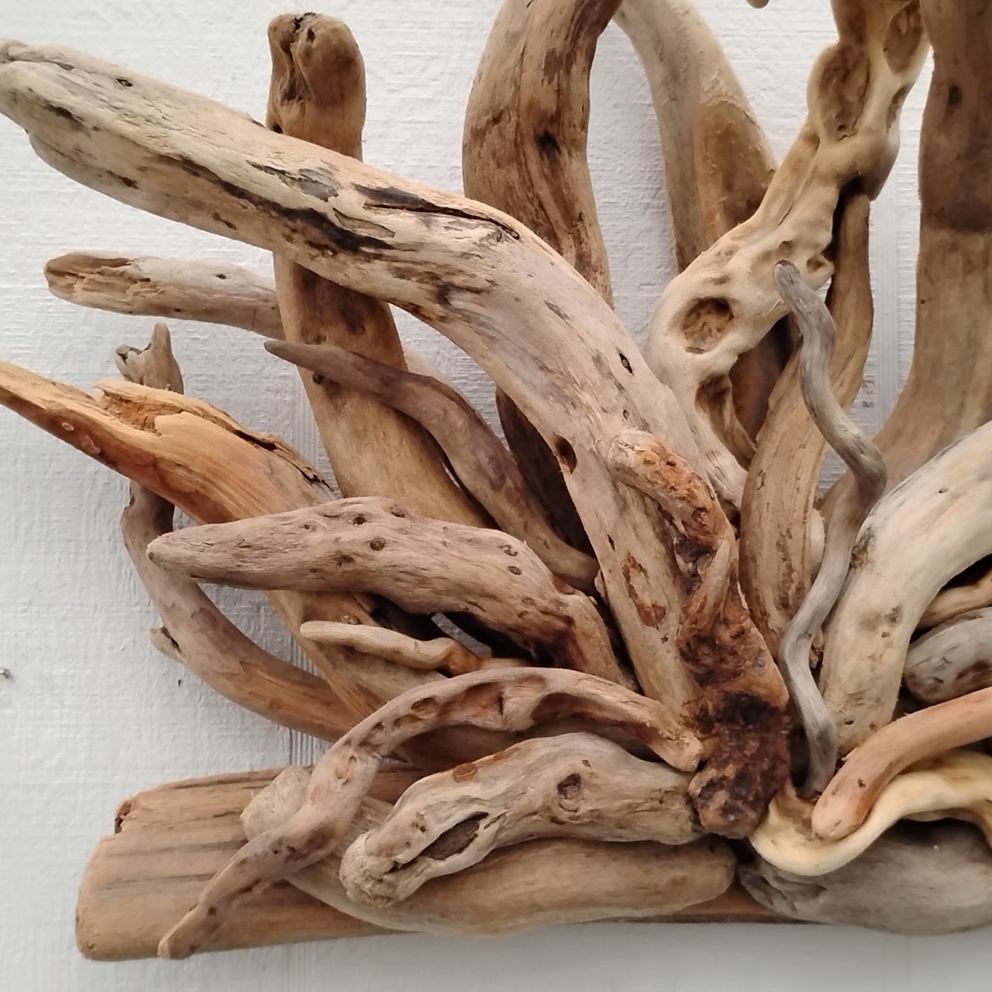 Natural Driftwood Art Wall Sculpture