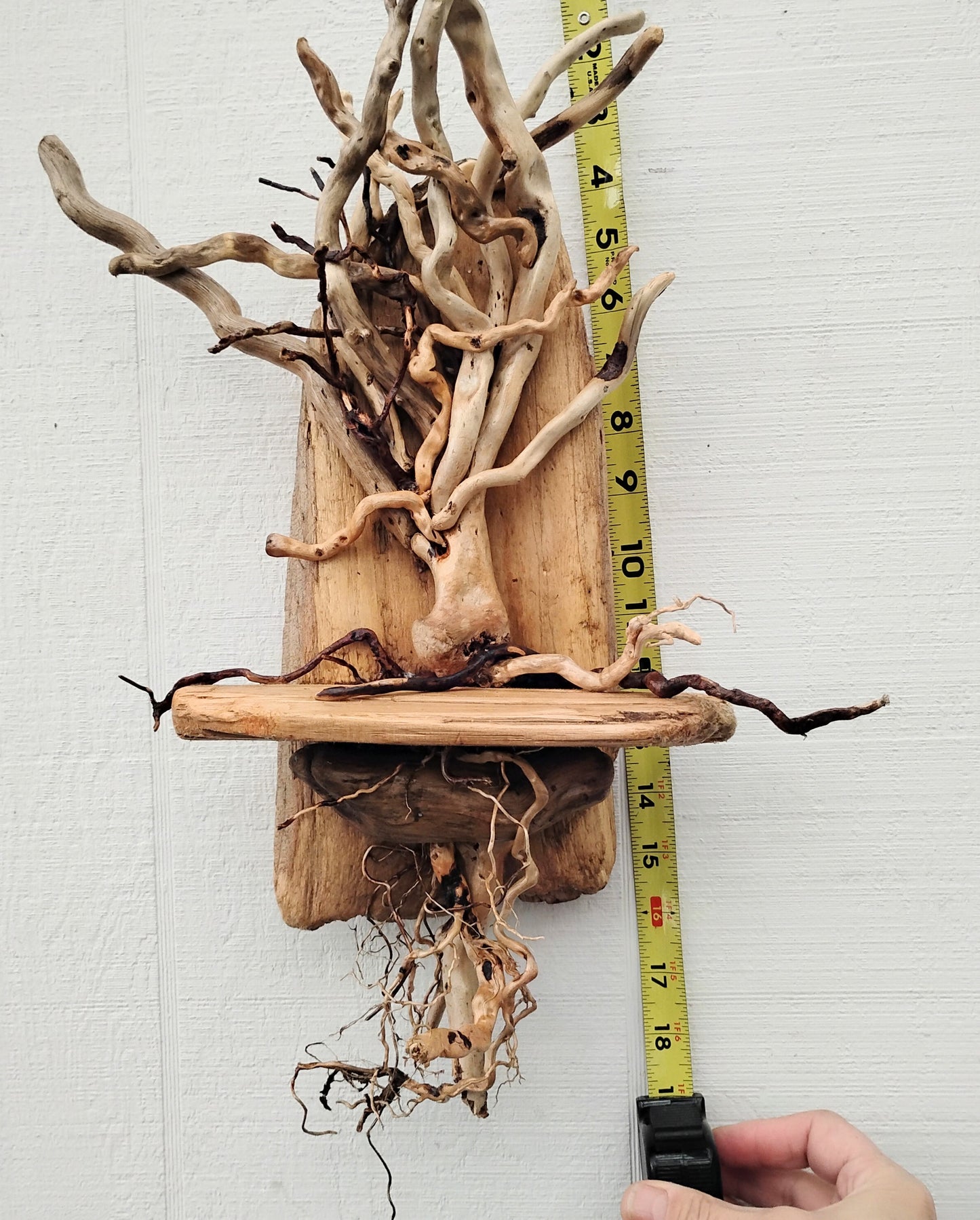 Driftwood Art Tree Beach Home Decor Wall Art