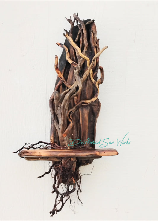 Driftwood Tree Wall Art Beach Inspired Rustic Room Decor