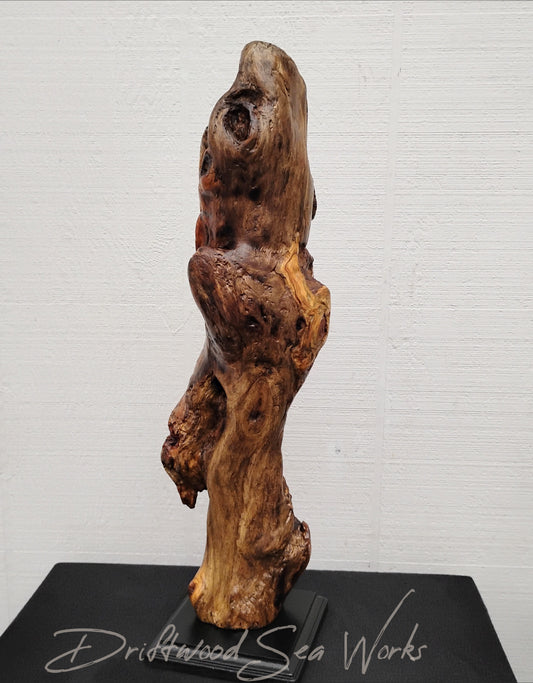 This exquisite Driftwood Art Mantel Sculpture adds a touch of natural elegance to any space. Handcrafted from a unique piece of dark driftwood, it highlights the beauty of nature and brings a peaceful ambiance to your home. Perfect for adding a unique focal point to your mantel or shelf, this sculpture is sure to impress with its detailed craftsmanship