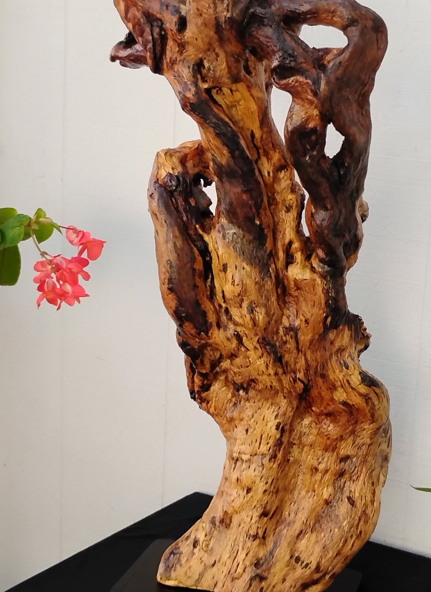 Large Driftwood Art Floor Sculpture Handcrafted in Oregon