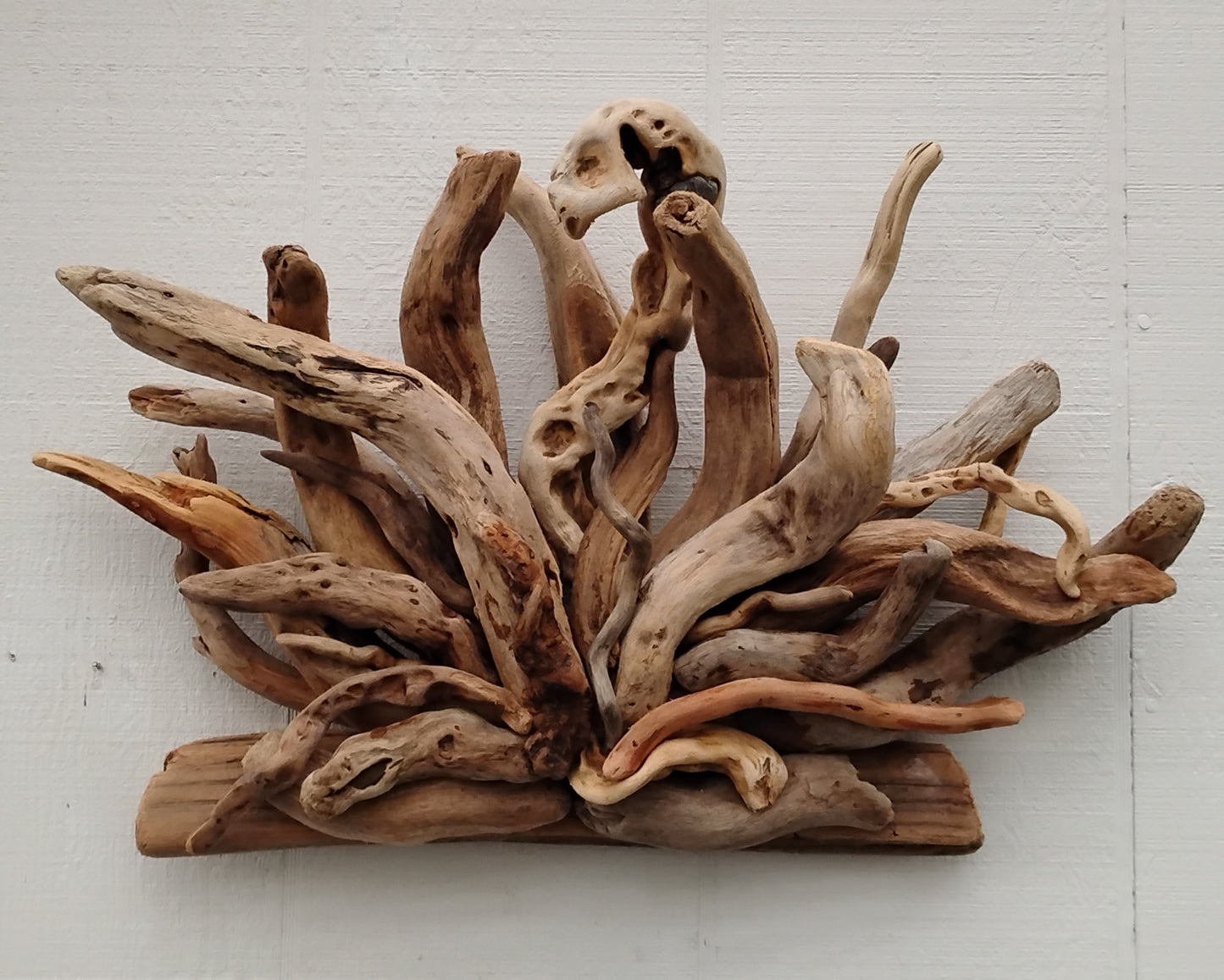 Natural Driftwood Art Wall Sculpture