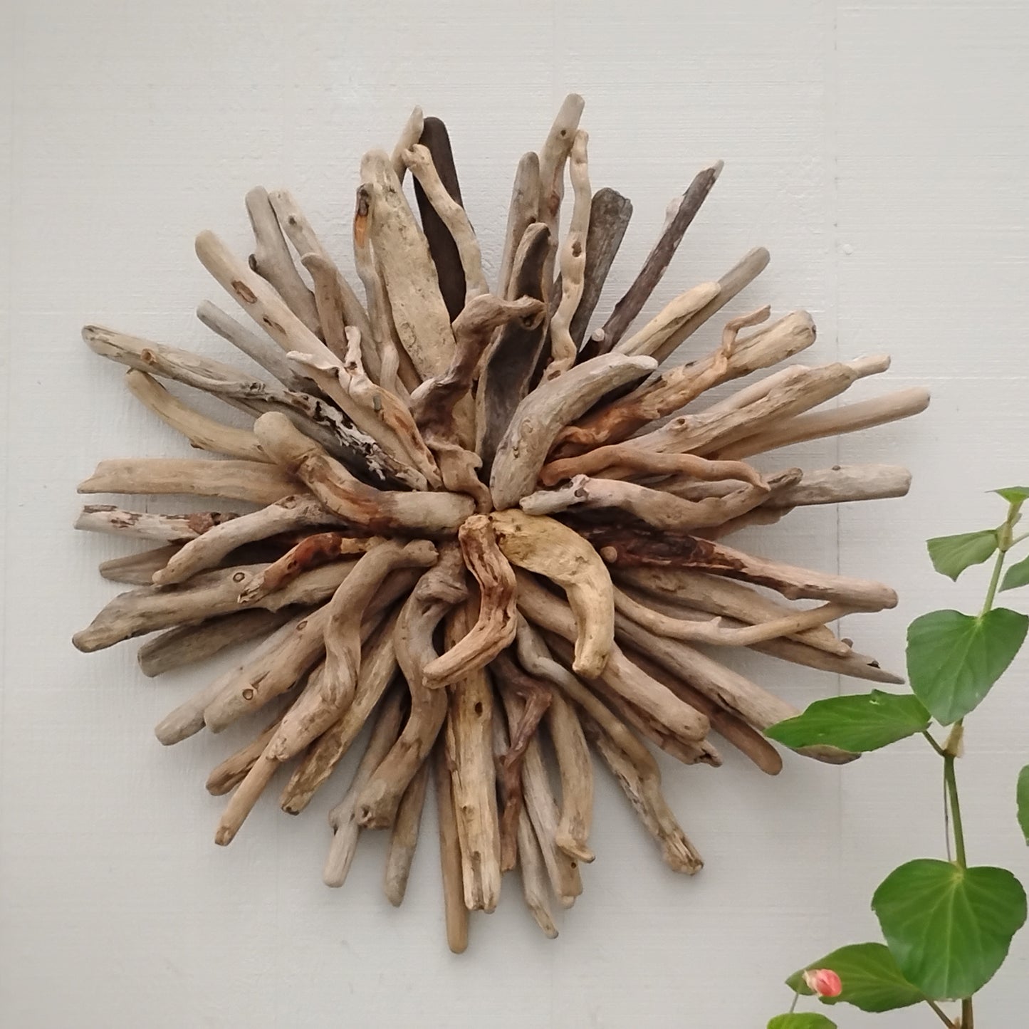 Driftwood Starburst Round Driftwood Wall Hanging
