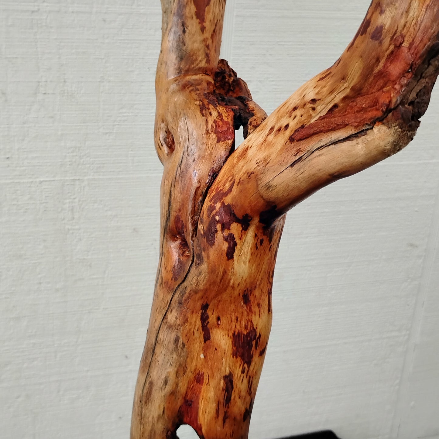 Driftwood Decor Table Sculpture Rustic Abstract Circle Modern Driftwood Decor