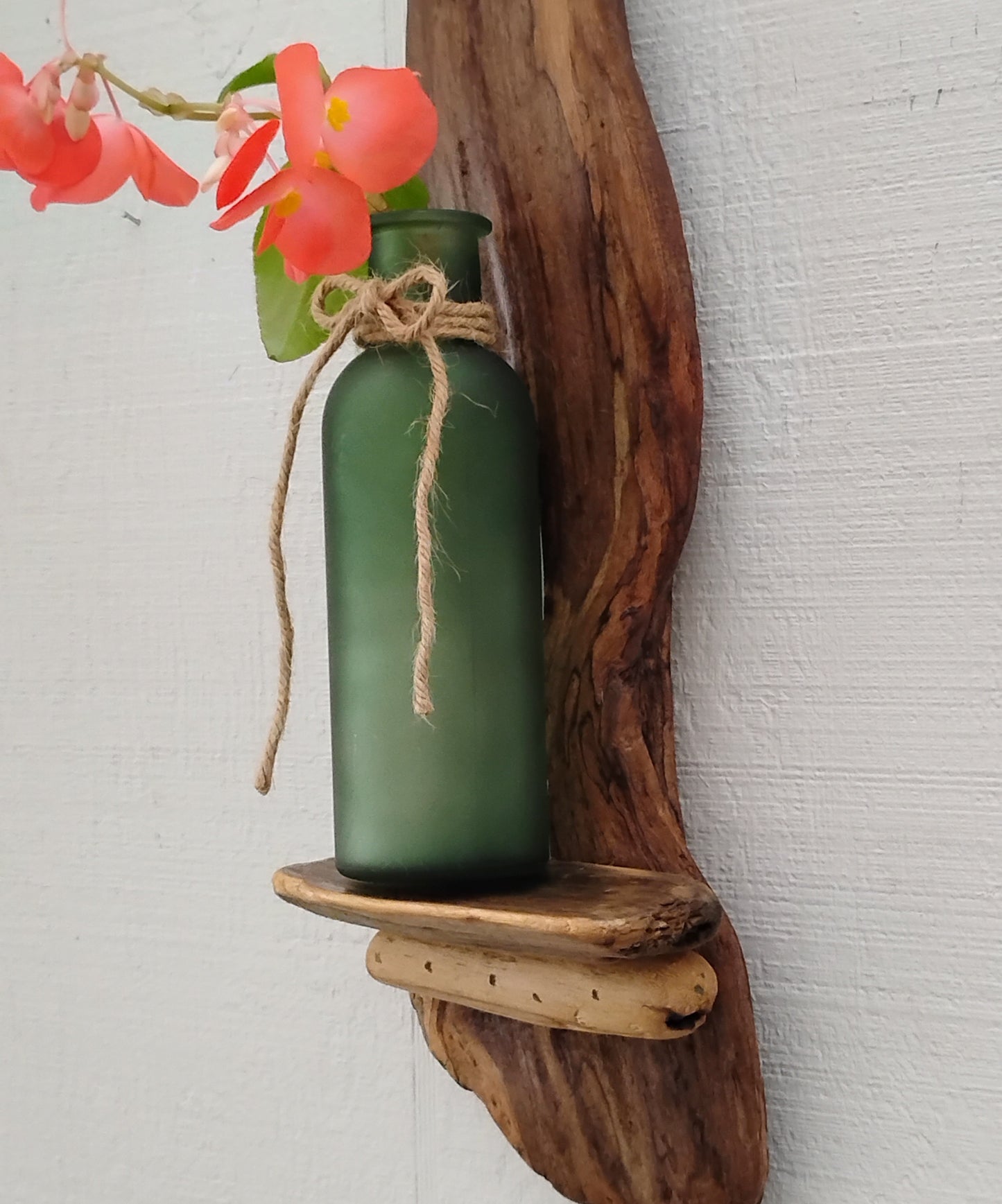 Rustic Driftwood Art Flower Vase /Air Plant Bottle Vase