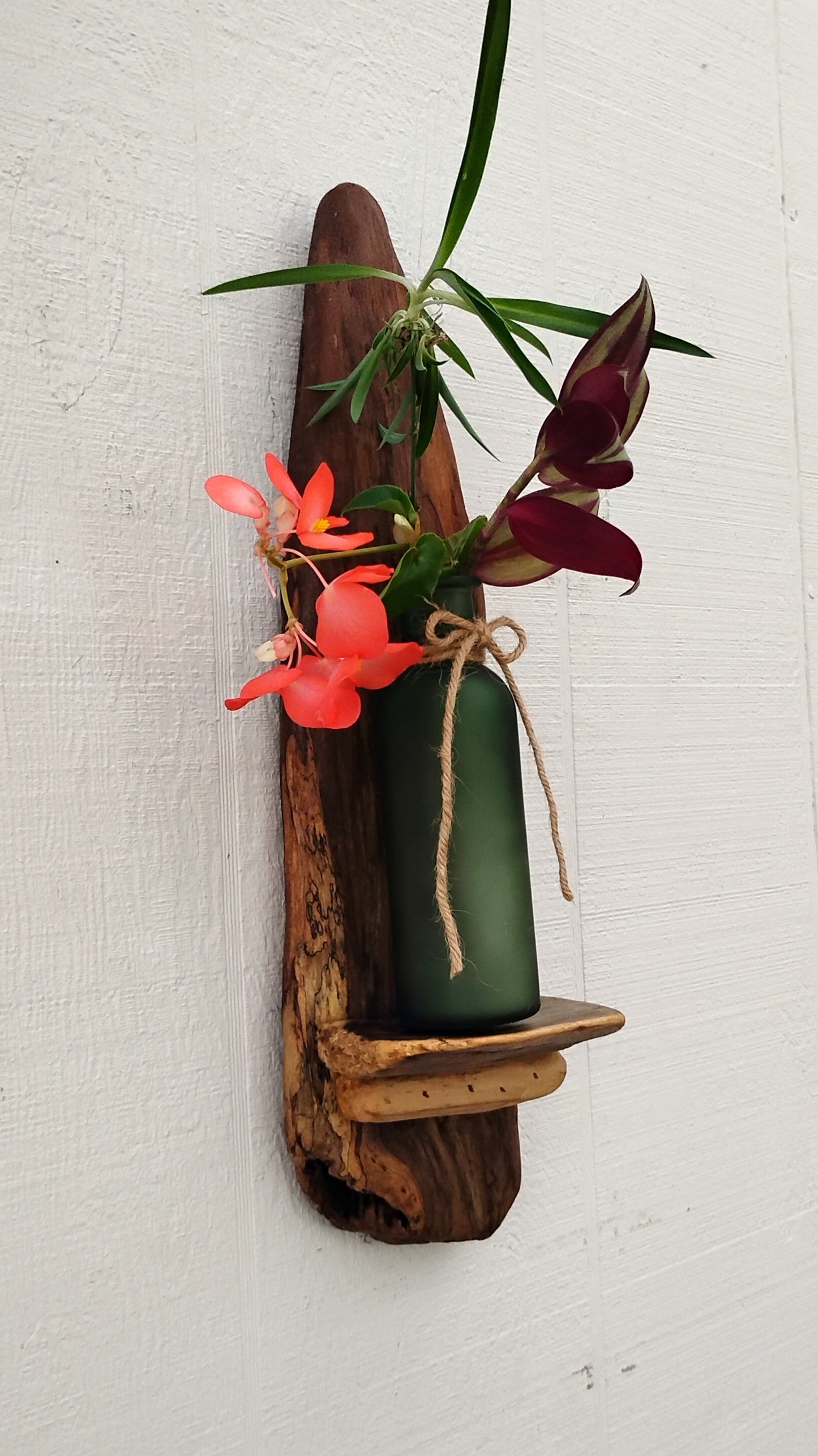 Rustic Driftwood Art Flower Vase /Air Plant Bottle Vase