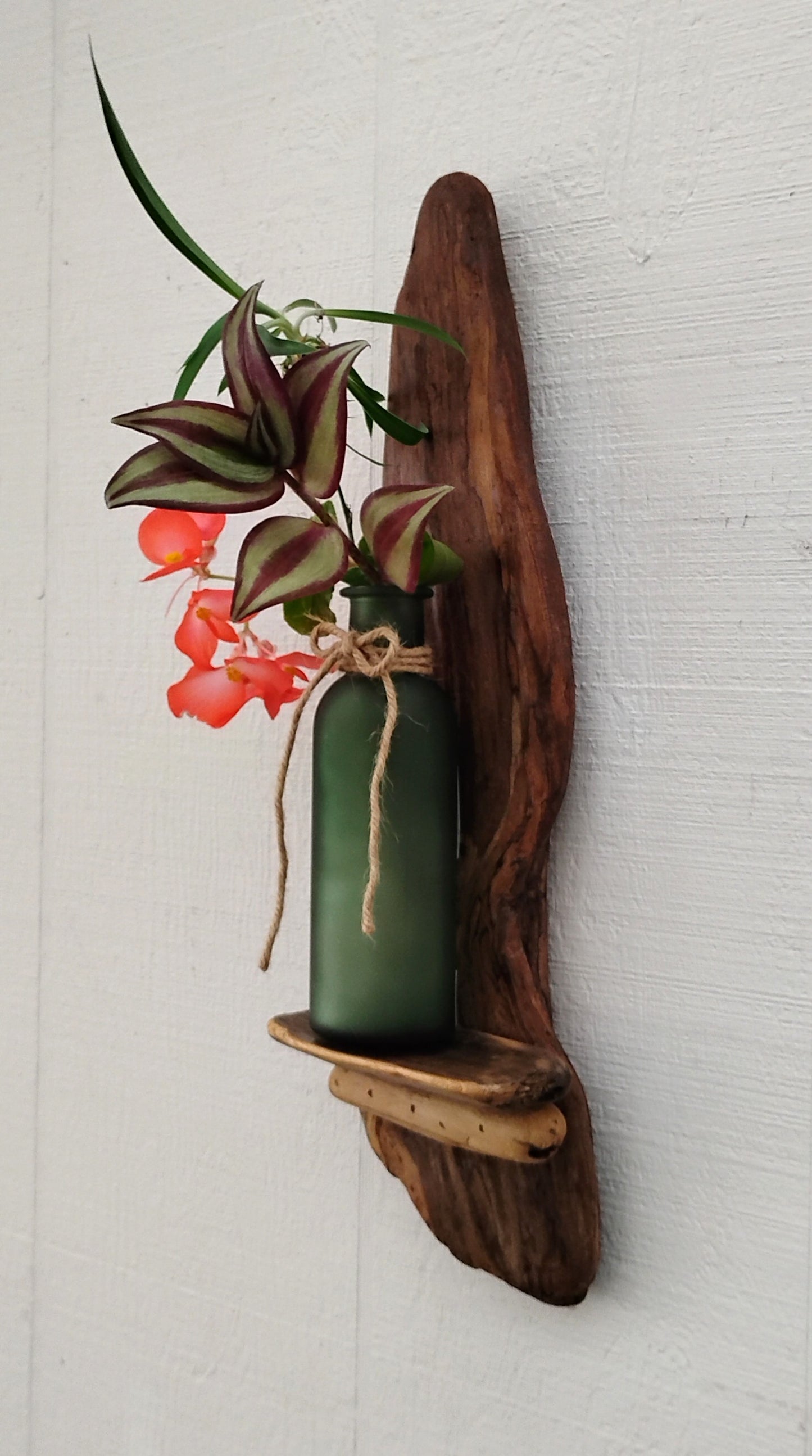 Rustic Driftwood Art Flower Vase /Air Plant Bottle Vase