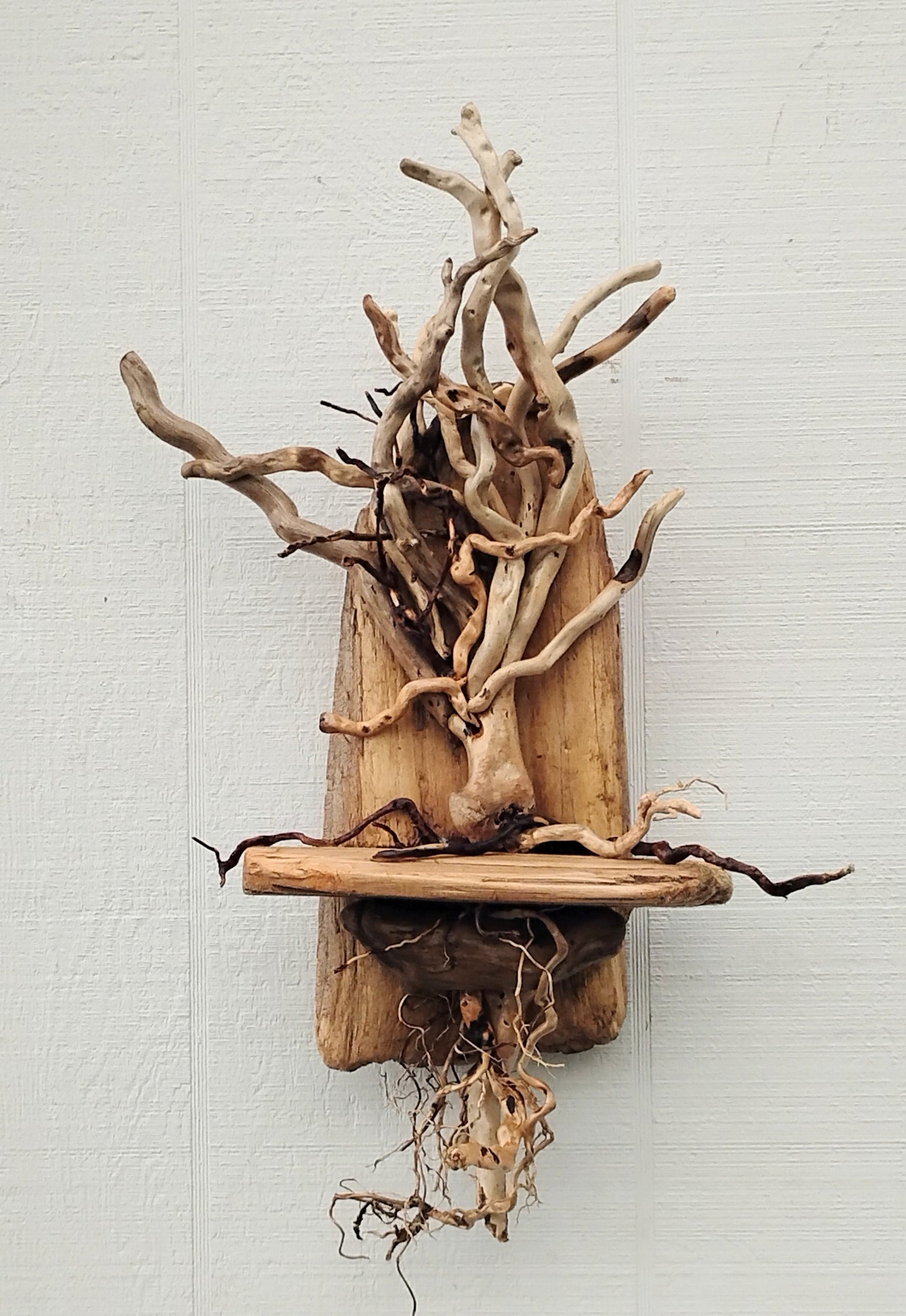 Driftwood Art Tree Beach Home Decor Wall Art