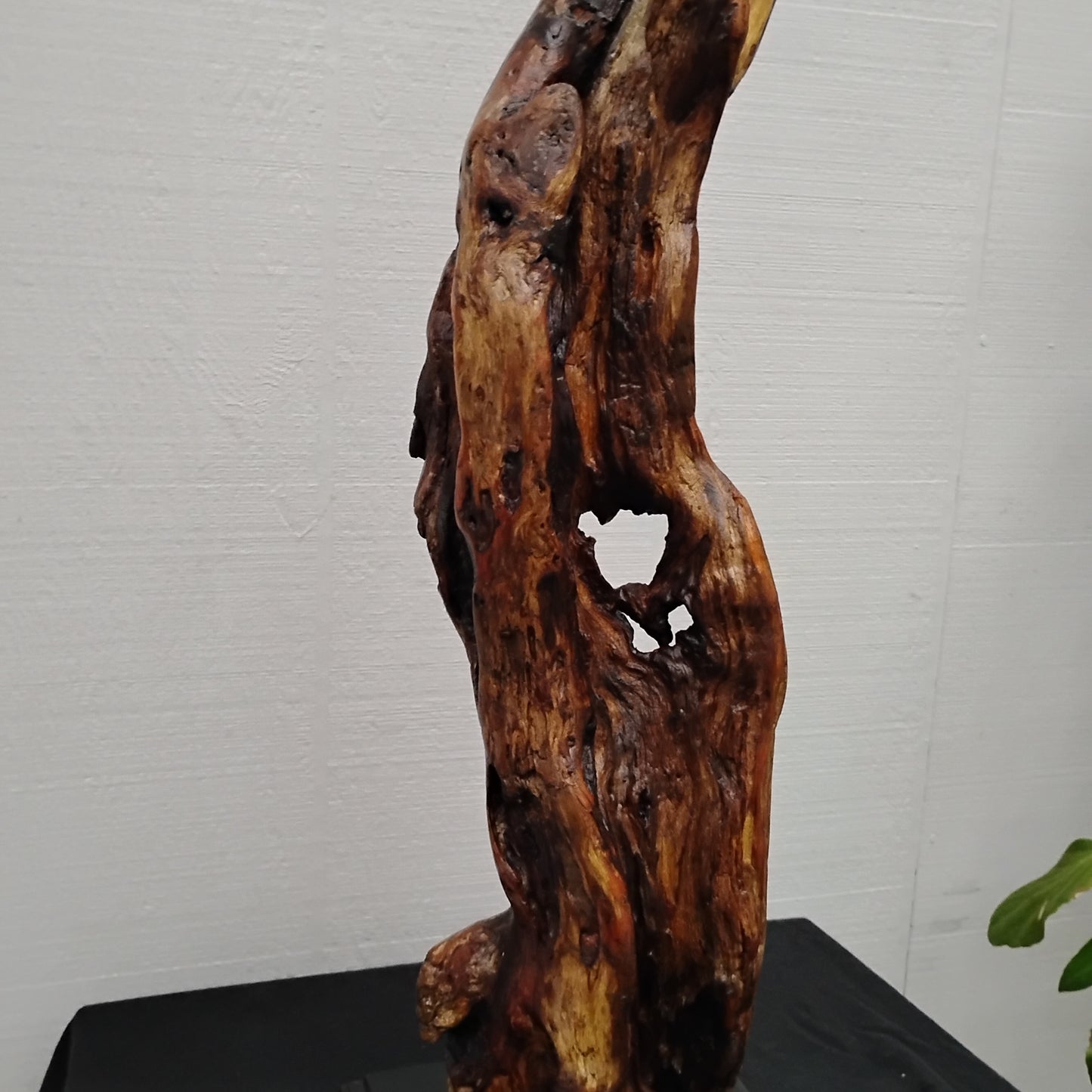 Driftwood Floor Sculpture Dark Wood Room Decor Statement Piece