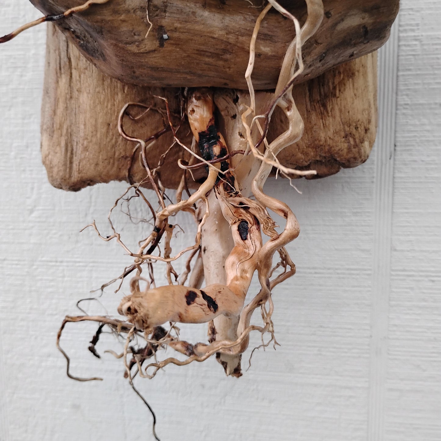 Driftwood Art Tree Beach Home Decor Wall Art