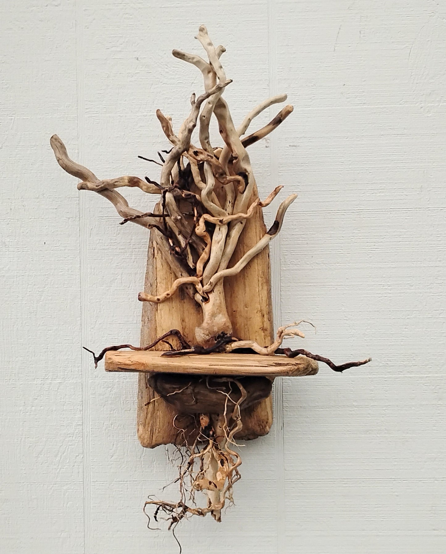 Driftwood Art Tree Beach Home Decor Wall Art