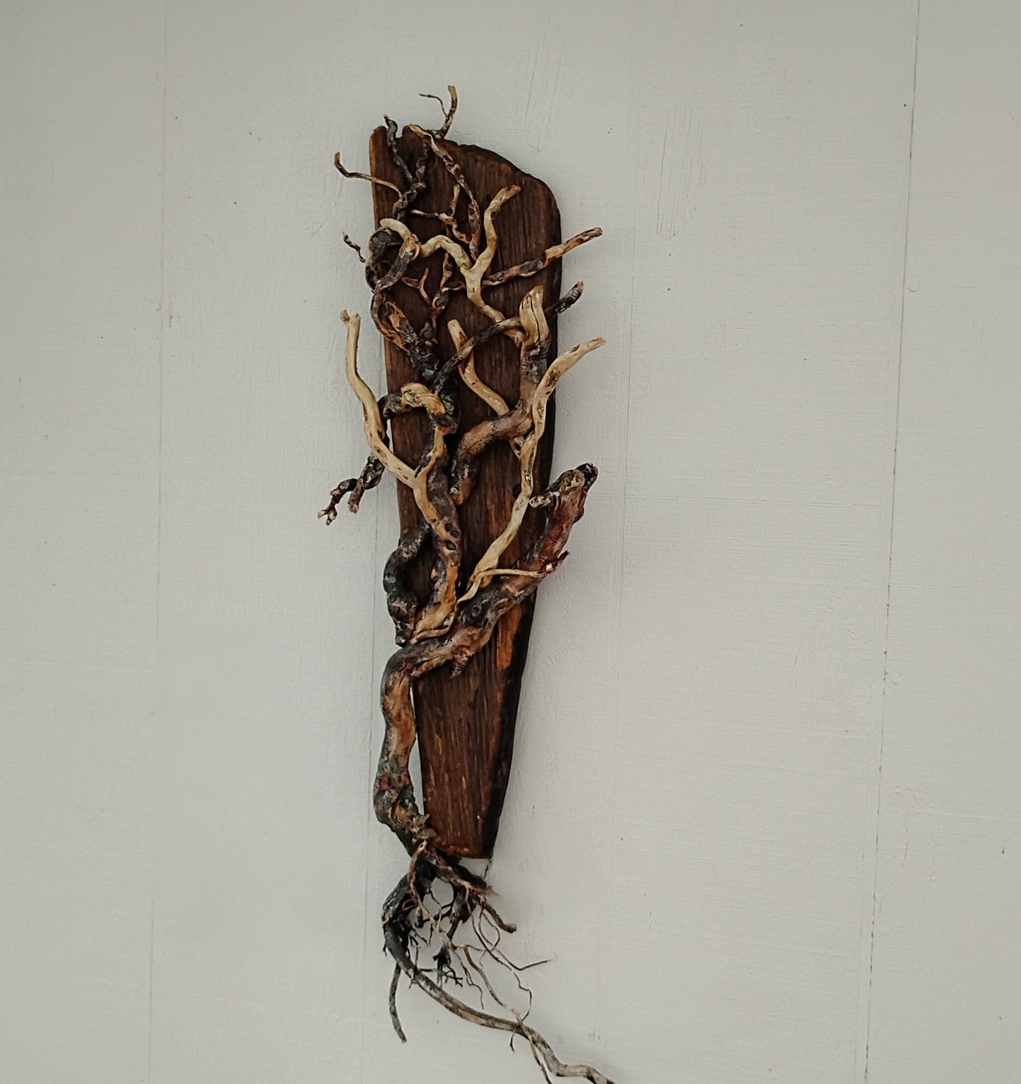 Driftwood Tree Wall Art Beach Inspired Rustic Room Decor