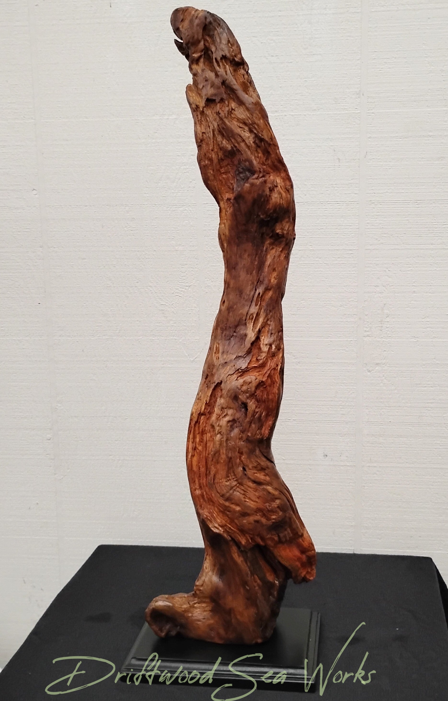 This unique and rare driftwood art abstract table sculpture was hand crafted from a natural piece of dark Oregon driftwood that I have stabilized and cleaned up then attached to a wood base that I have painted black