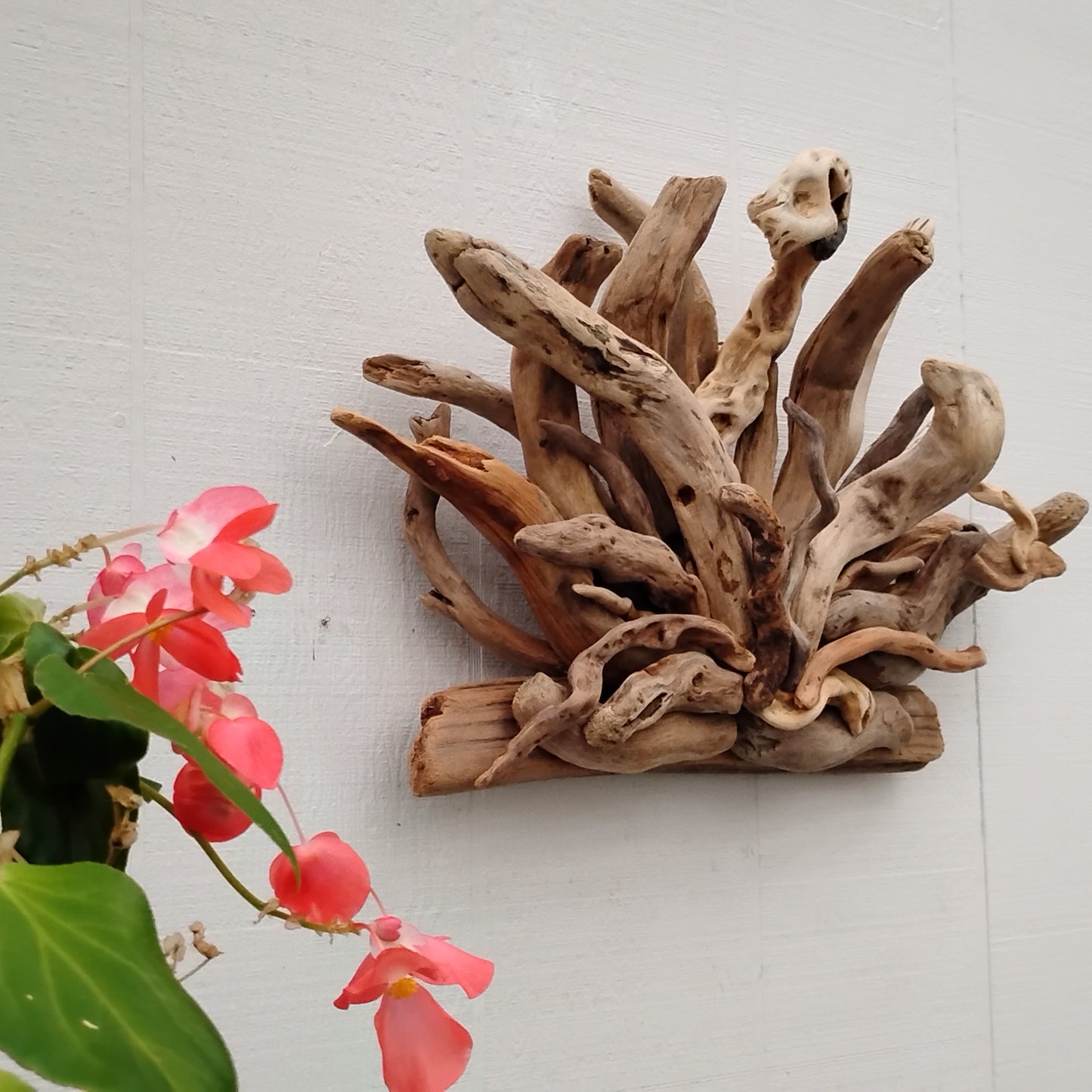 Natural Driftwood Art Wall Sculpture