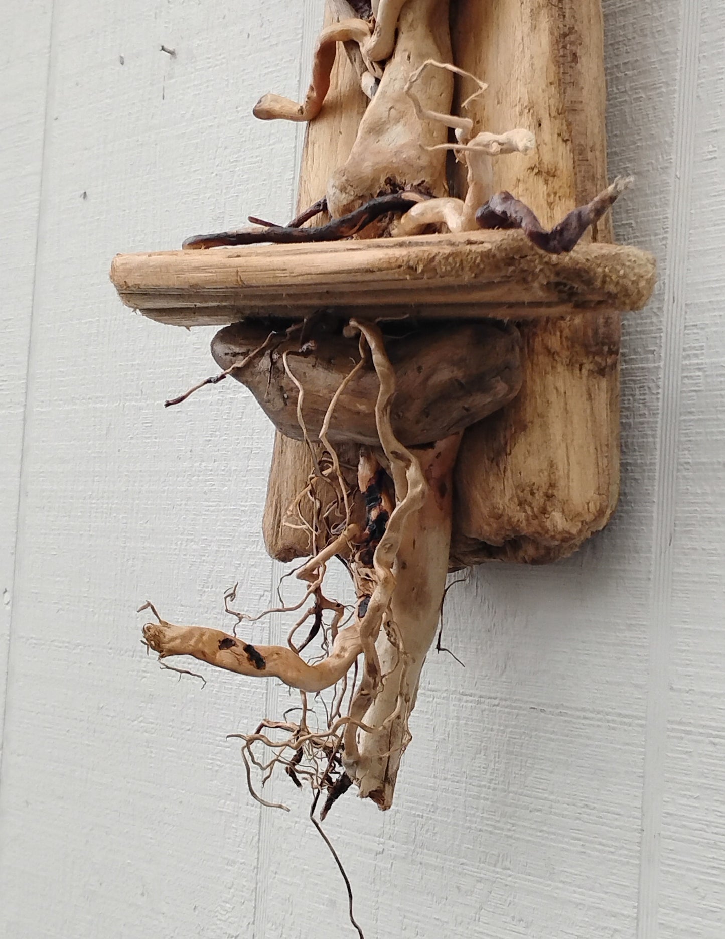 Driftwood Art Tree Beach Home Decor Wall Art