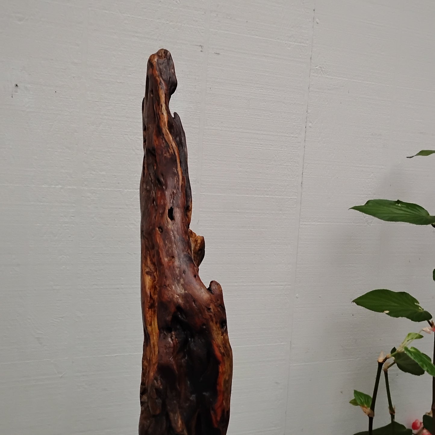 Driftwood Floor Sculpture Dark Wood Room Decor Statement Piece