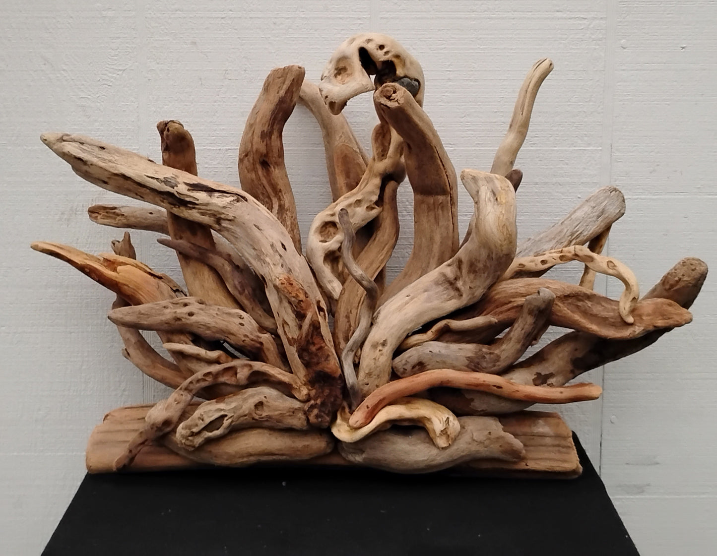 Natural Driftwood Art Wall Sculpture